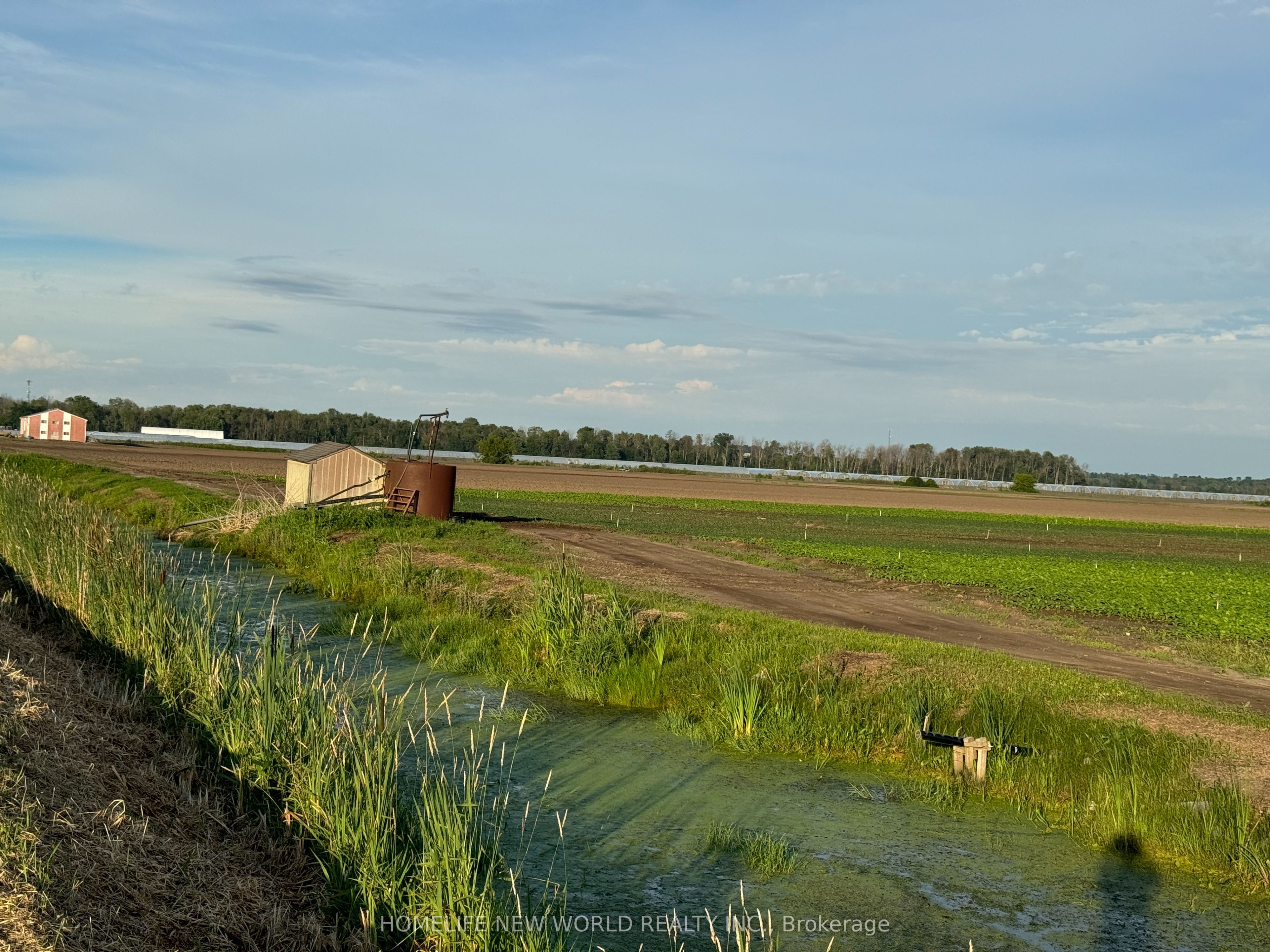 571 Ravenshoe Road