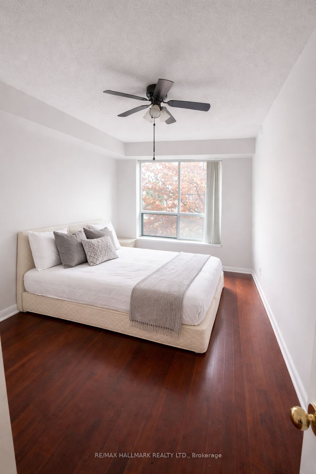 3 Ellesmere Street 215