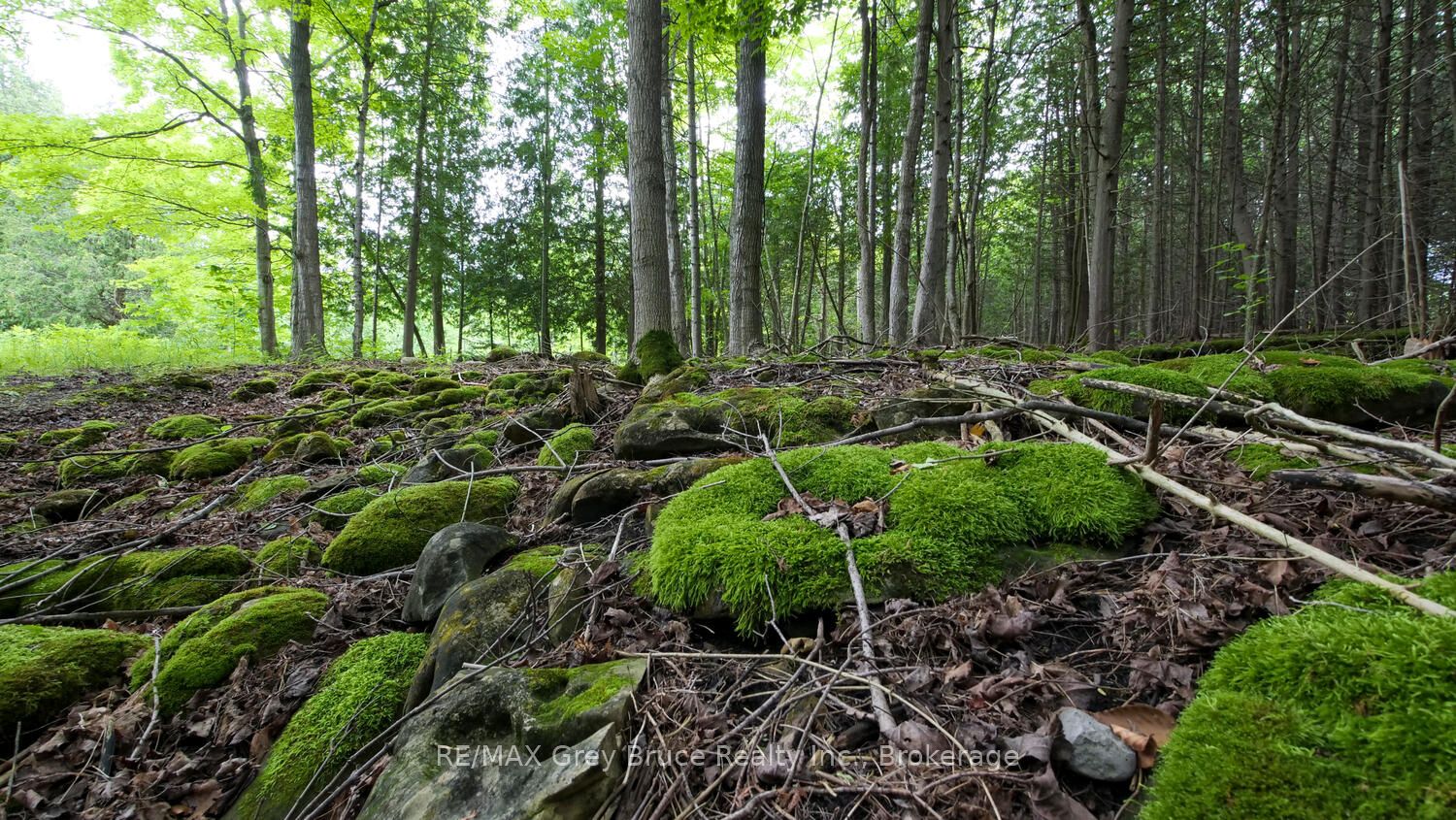 1477 Highway 6 Highway