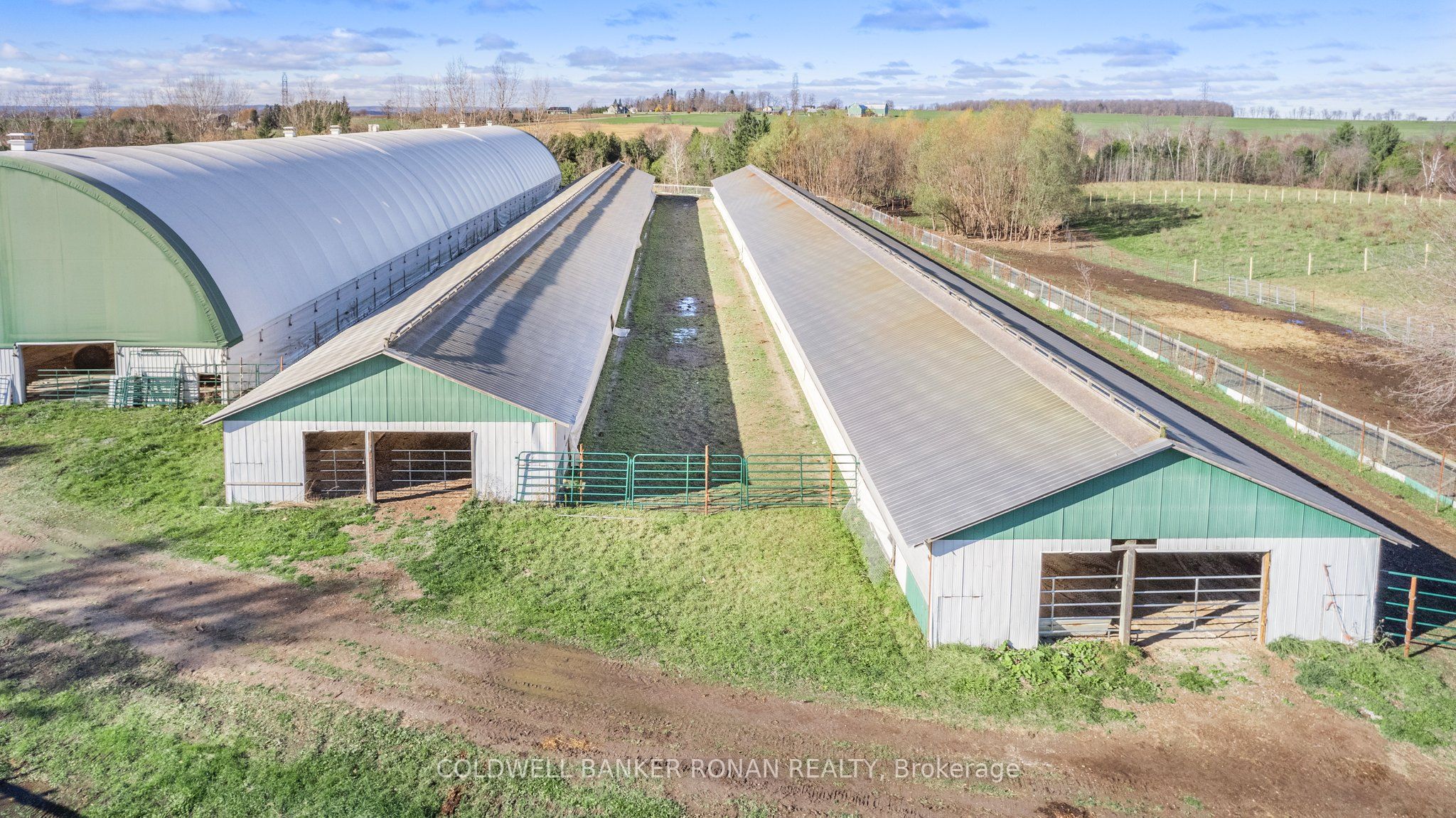 5735 Concession Rd 6 N/A