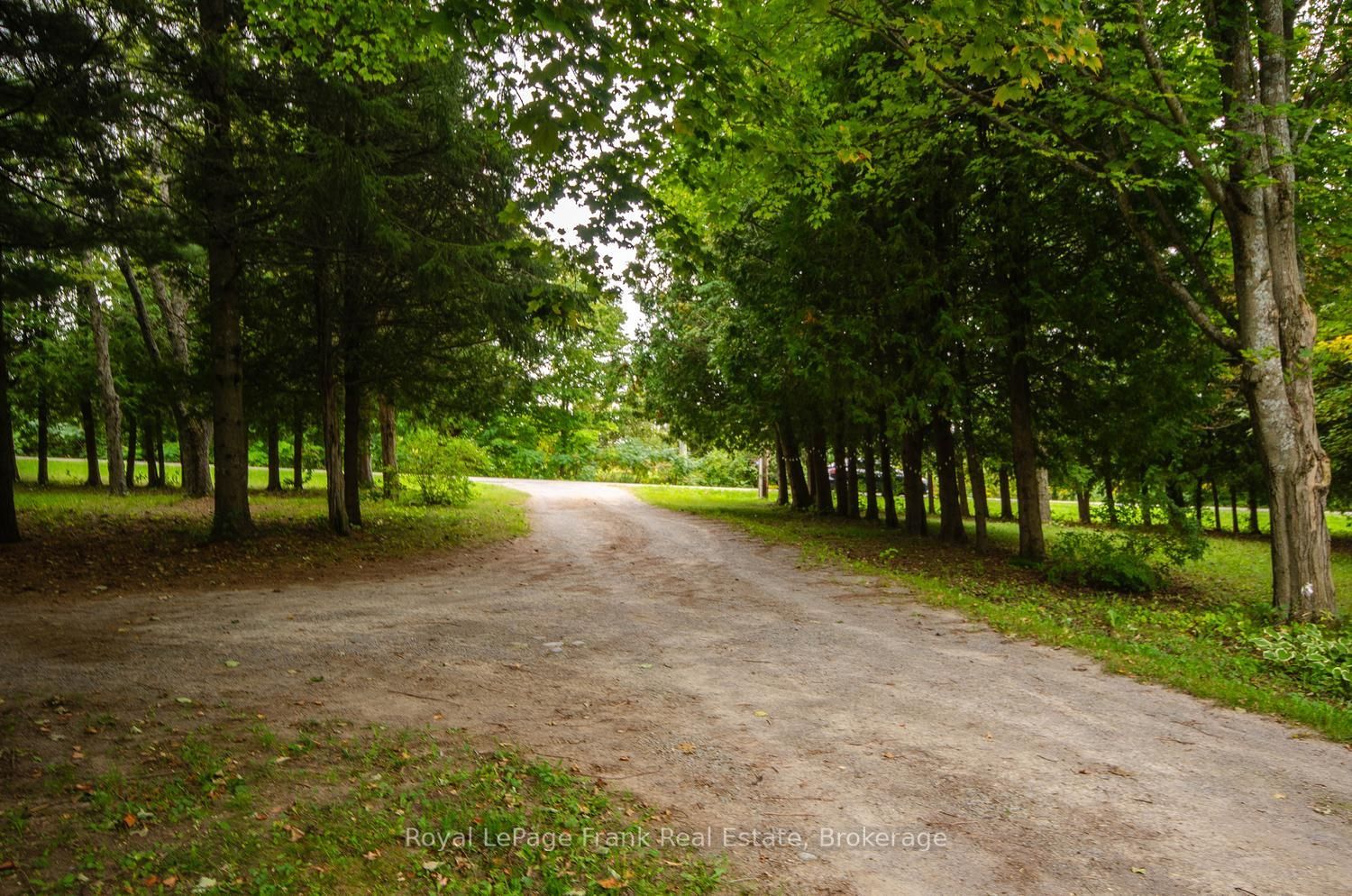 15032 Telephone Road
