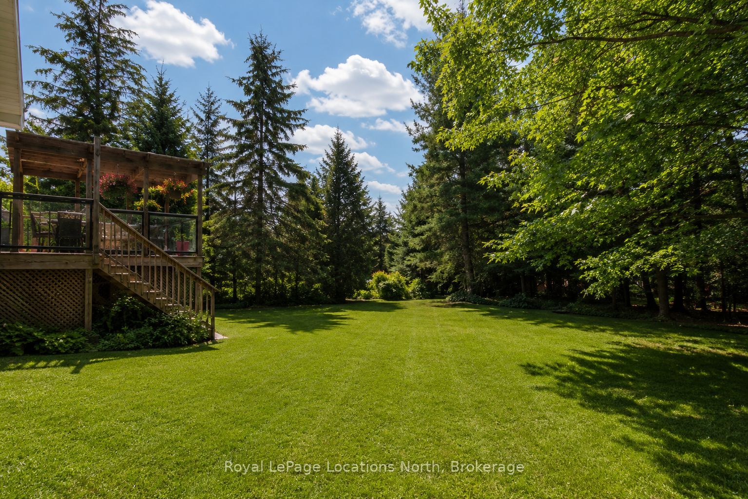 33 Birchwood Trail