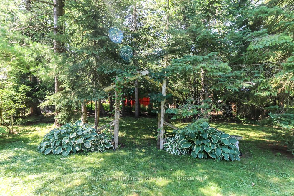 33 Birchwood Trail