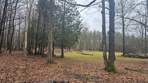 PT LT 1 Concession Rd 21 Road Georgian Bluffs ON N0H 2T0