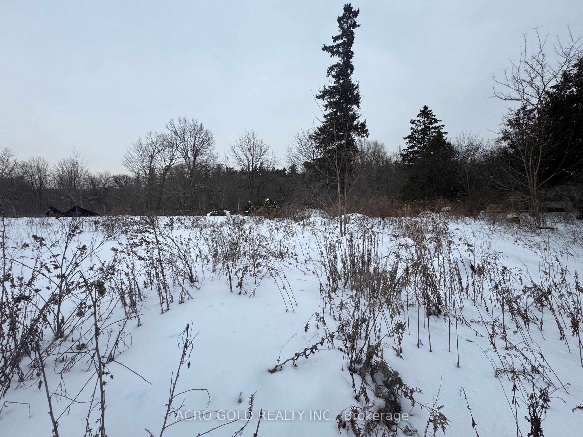 8519 Islington Avenue