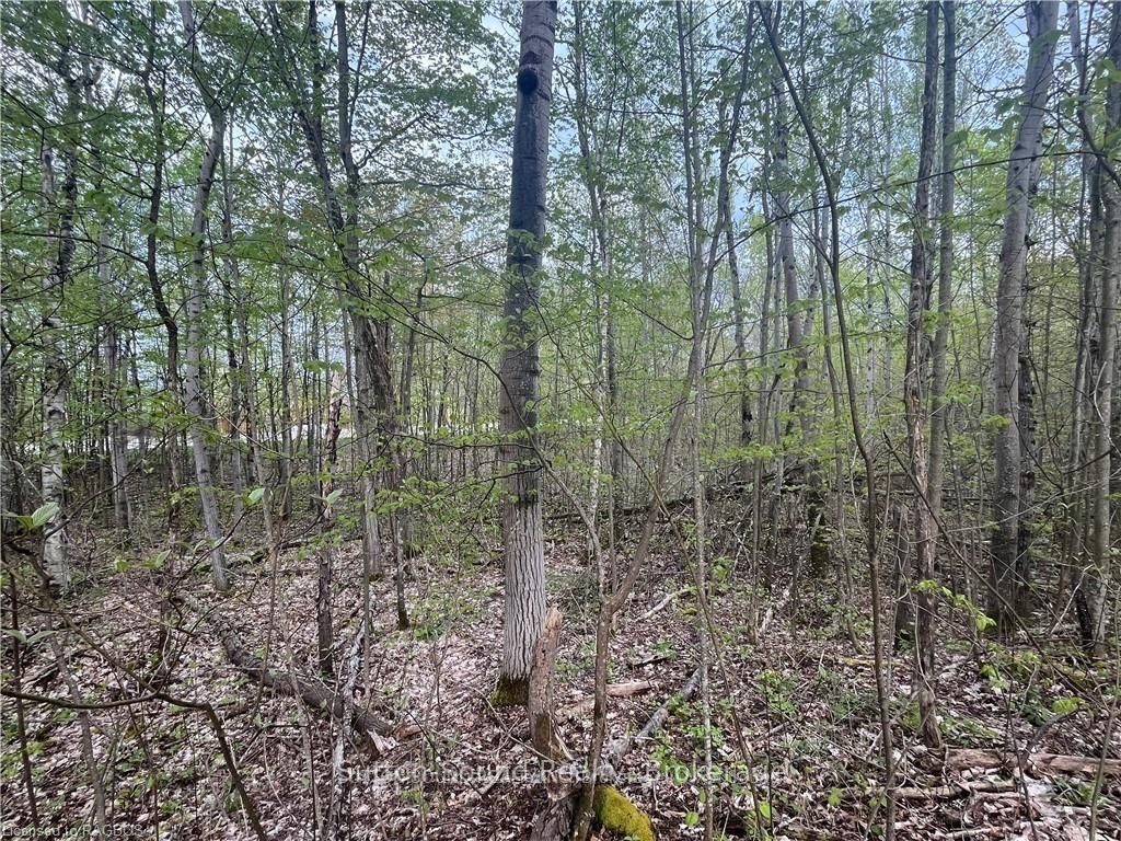 Lot 5 Grey  Road 1 N/A