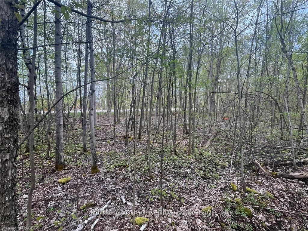 Lot 5 Grey  Road 1 N/A