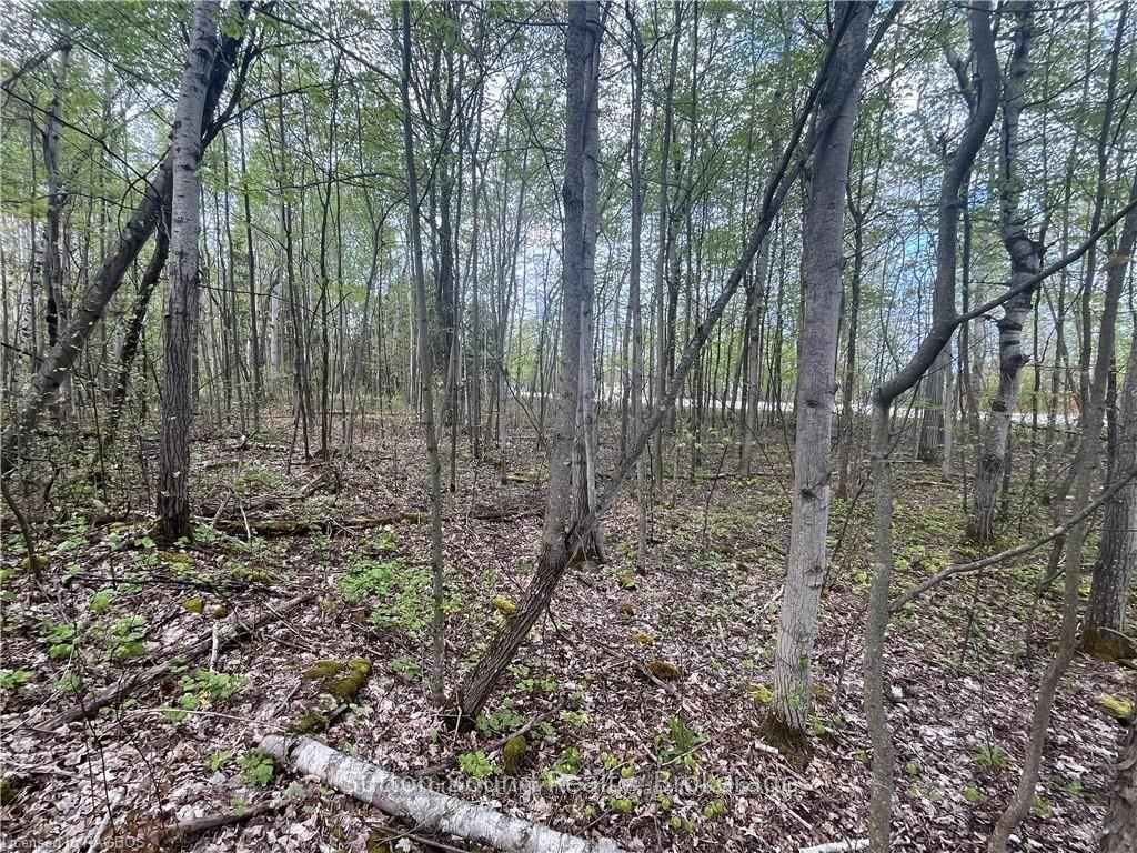 Lot 5 Grey  Road 1 N/A