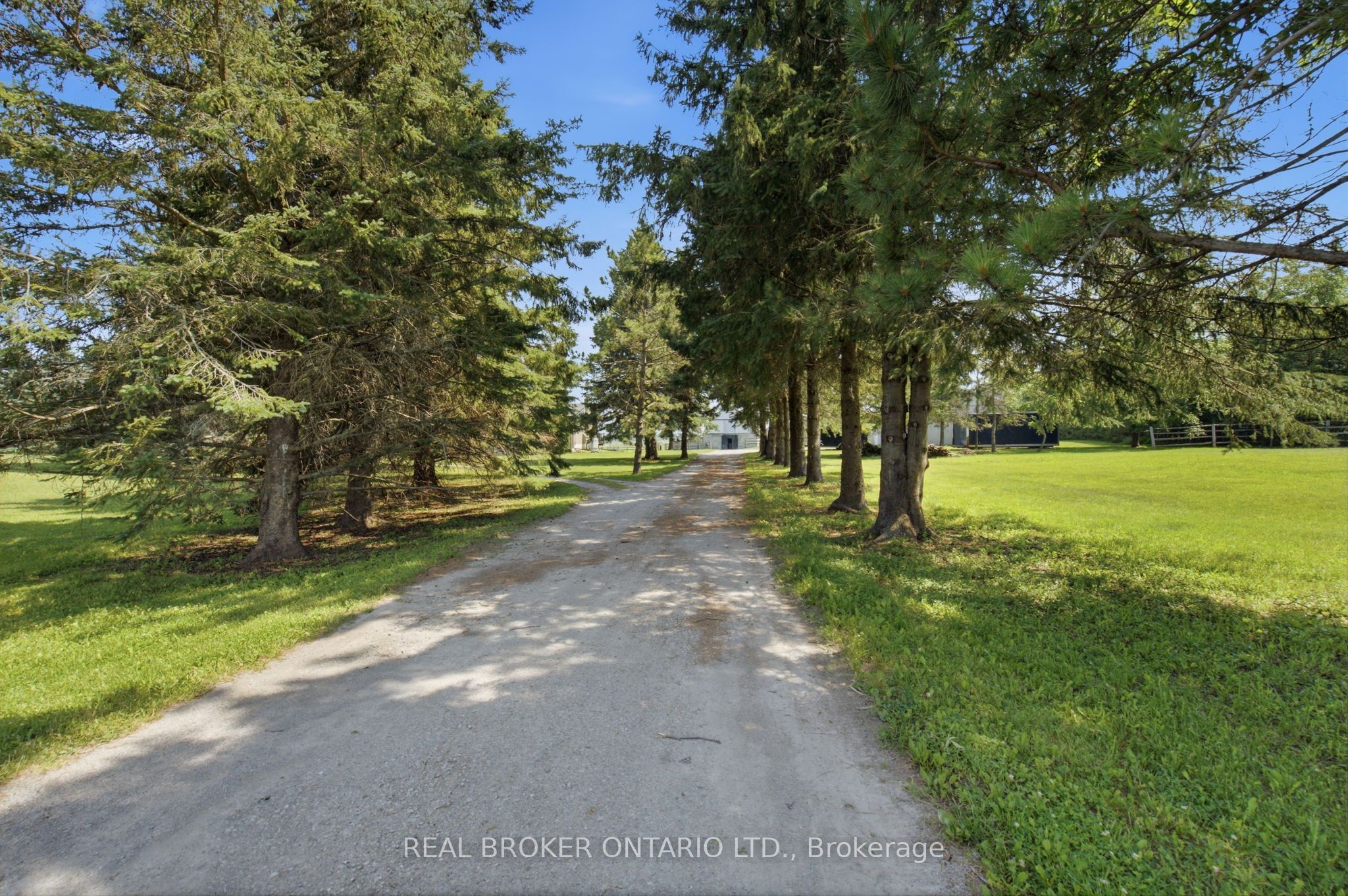 785 Reid Road