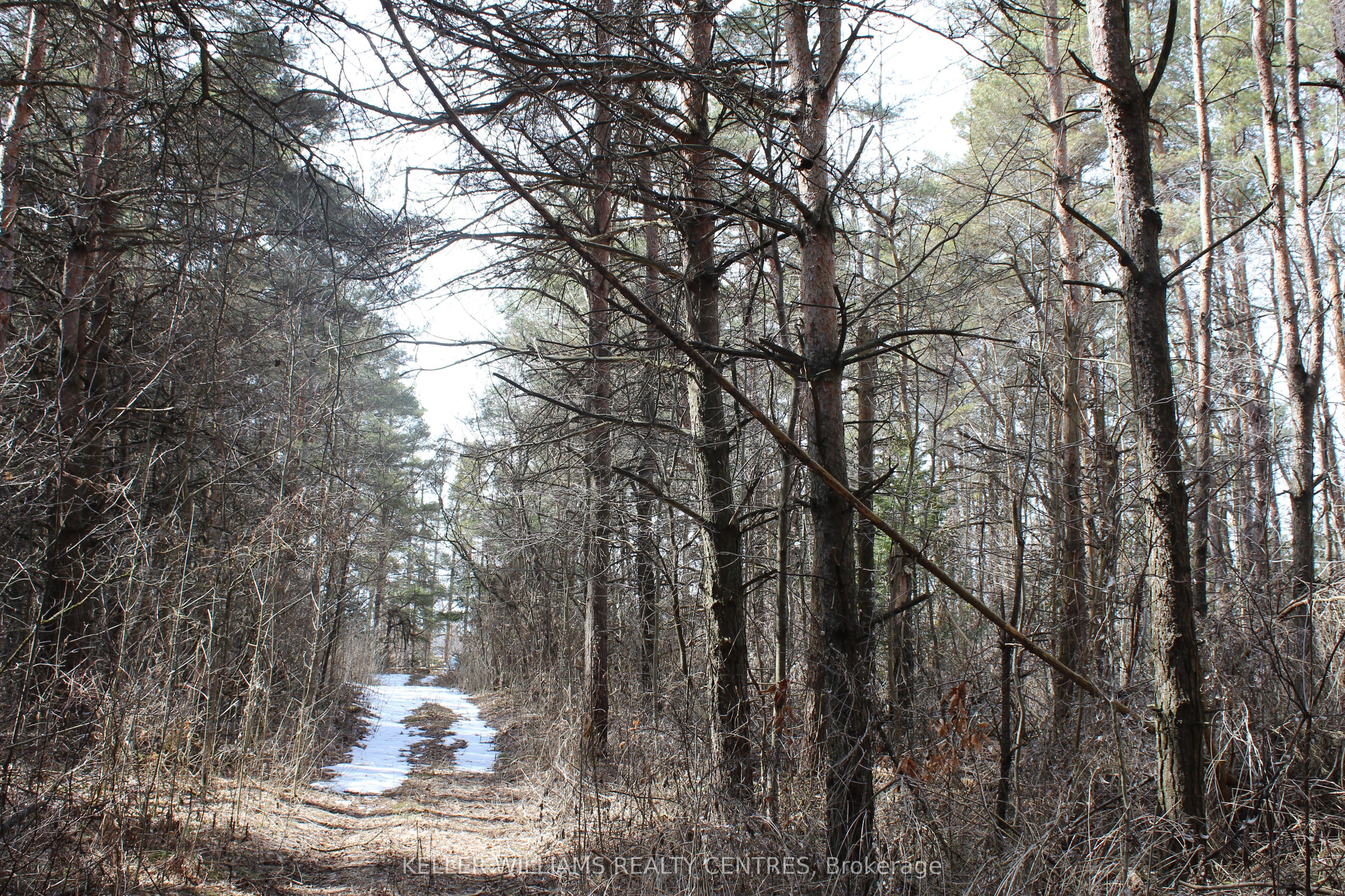 TBA Concession Rd 2 N/A