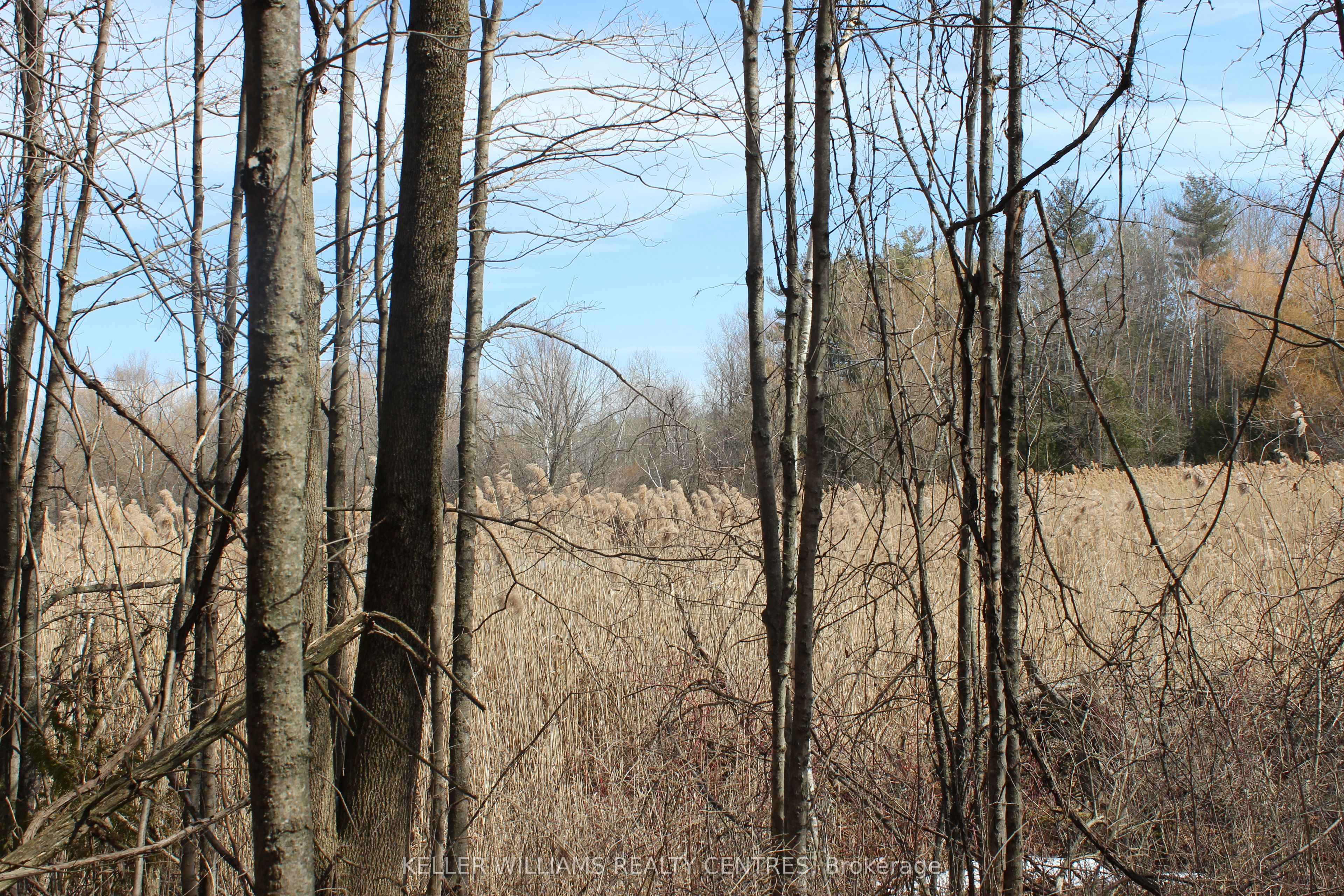 TBA Concession Rd 2 N/A