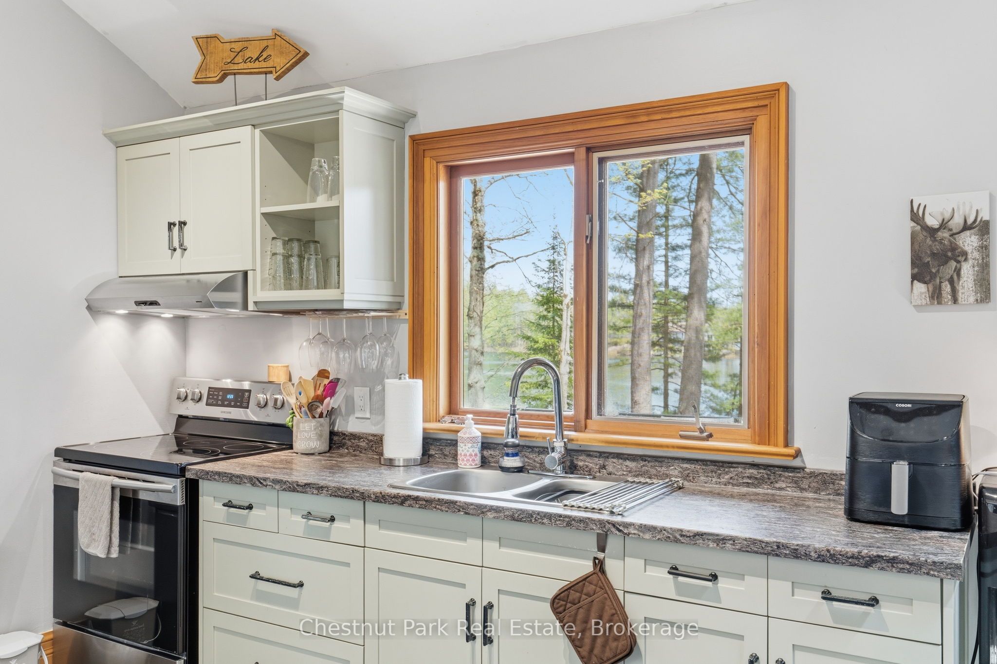 1117 Turtle Lake Road