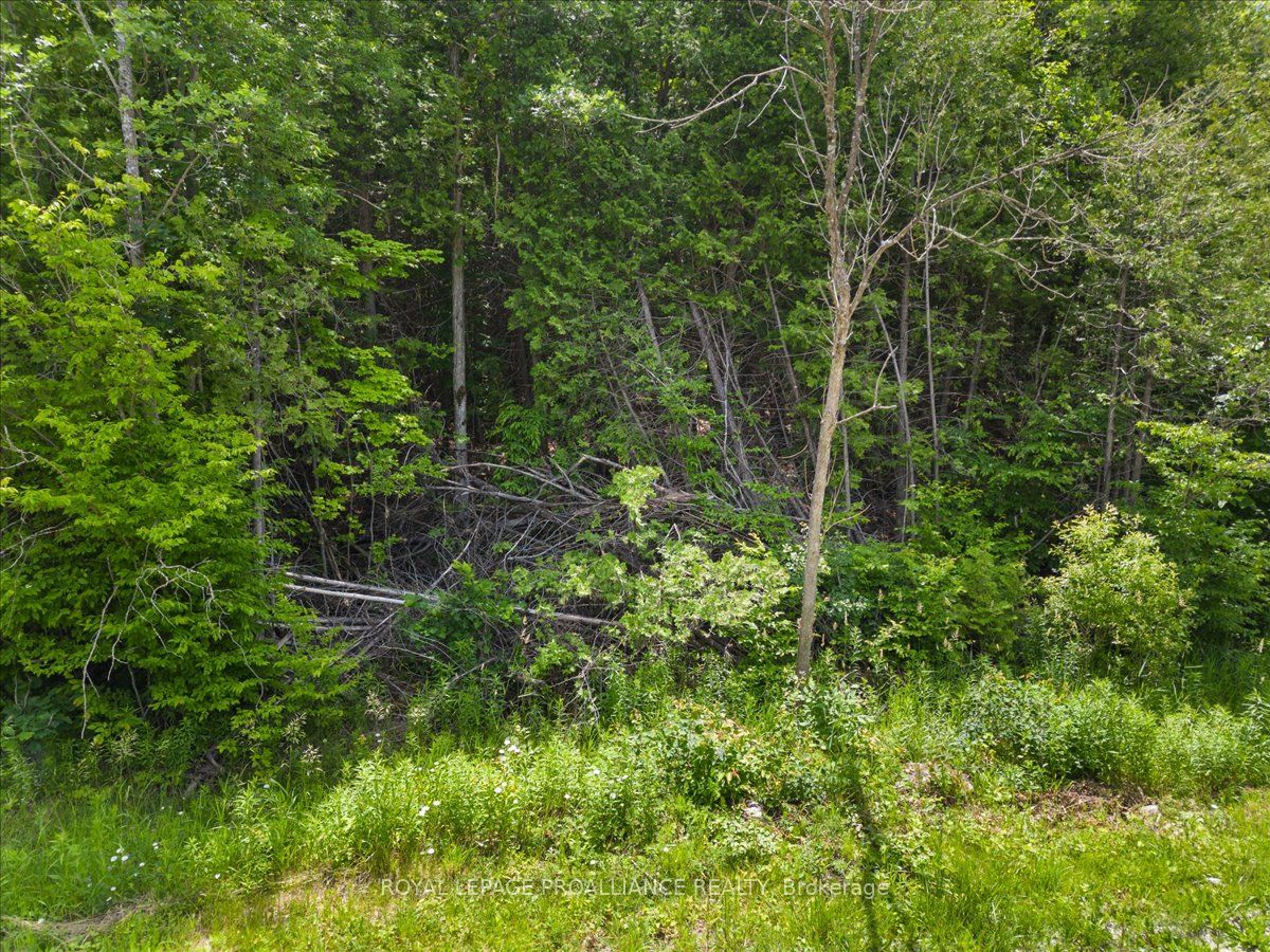 0 Marlbank Rd N/A