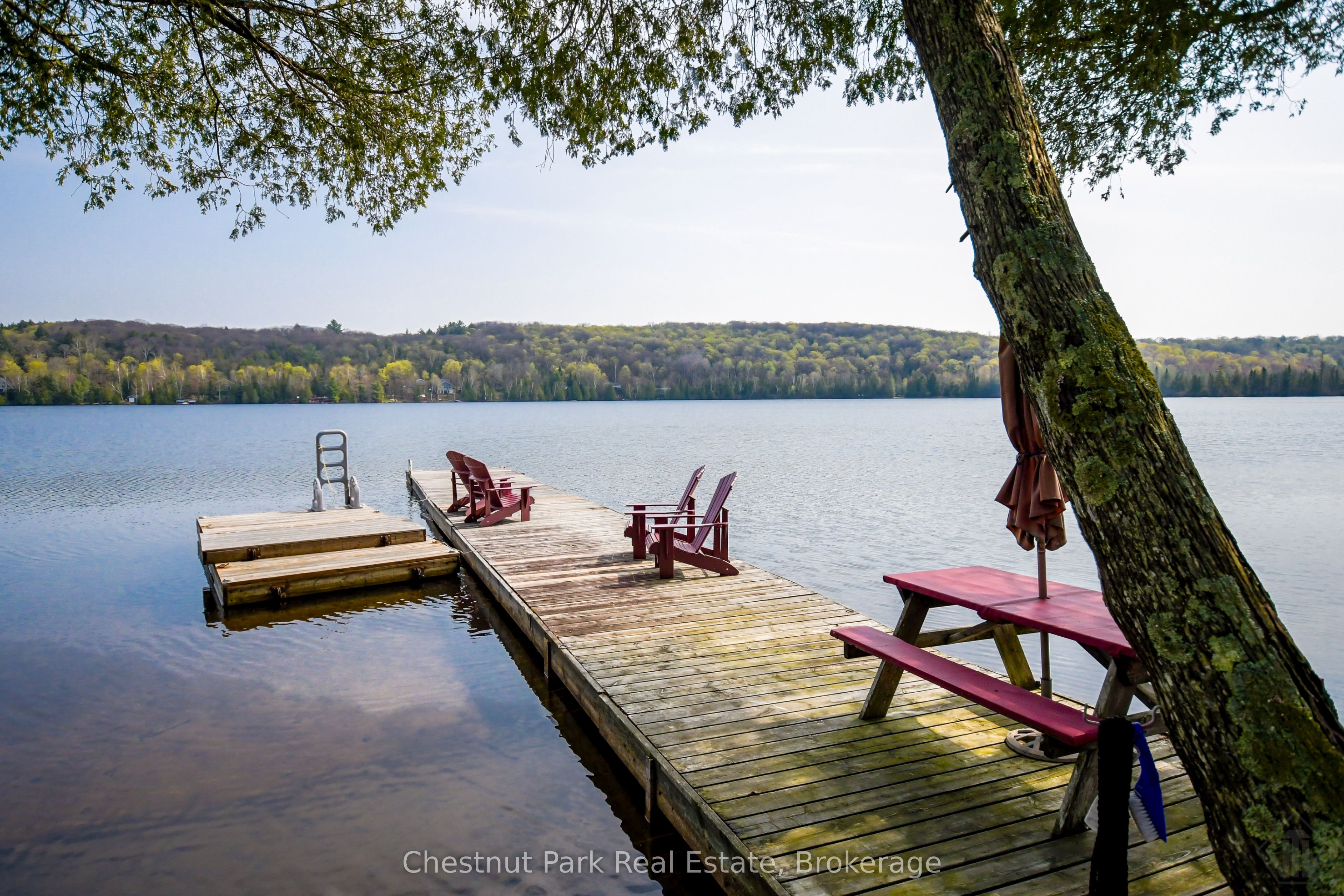 1408 Bay Lake Road