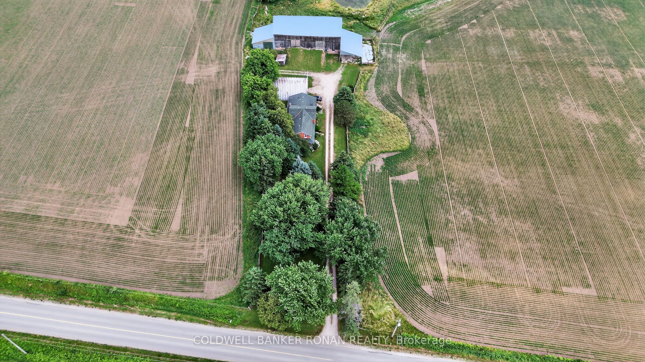 2577 Adjala-Tecumseth Townline