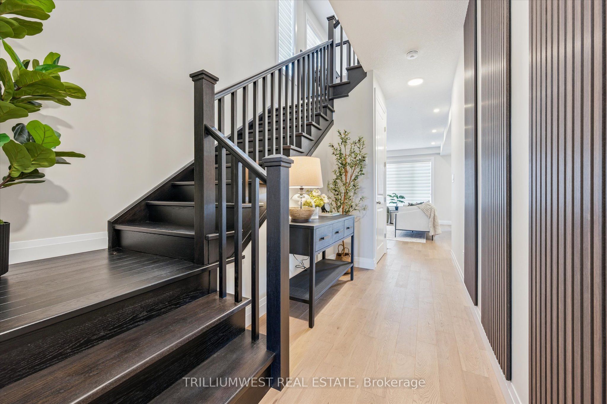 111 Catherine Street