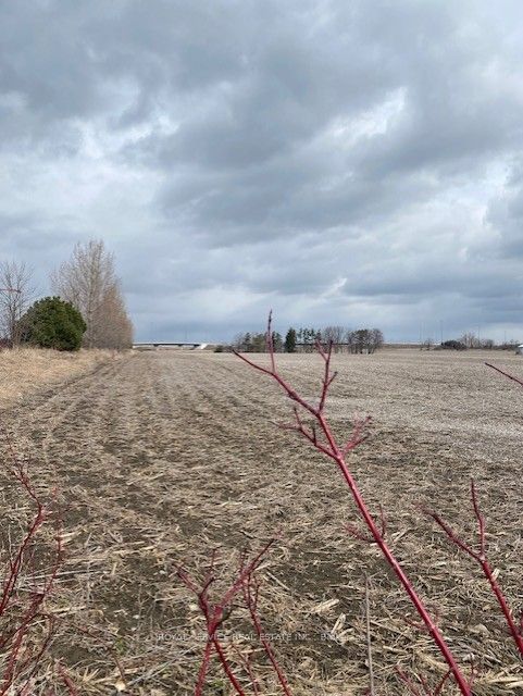 255 & 250 Crago Road