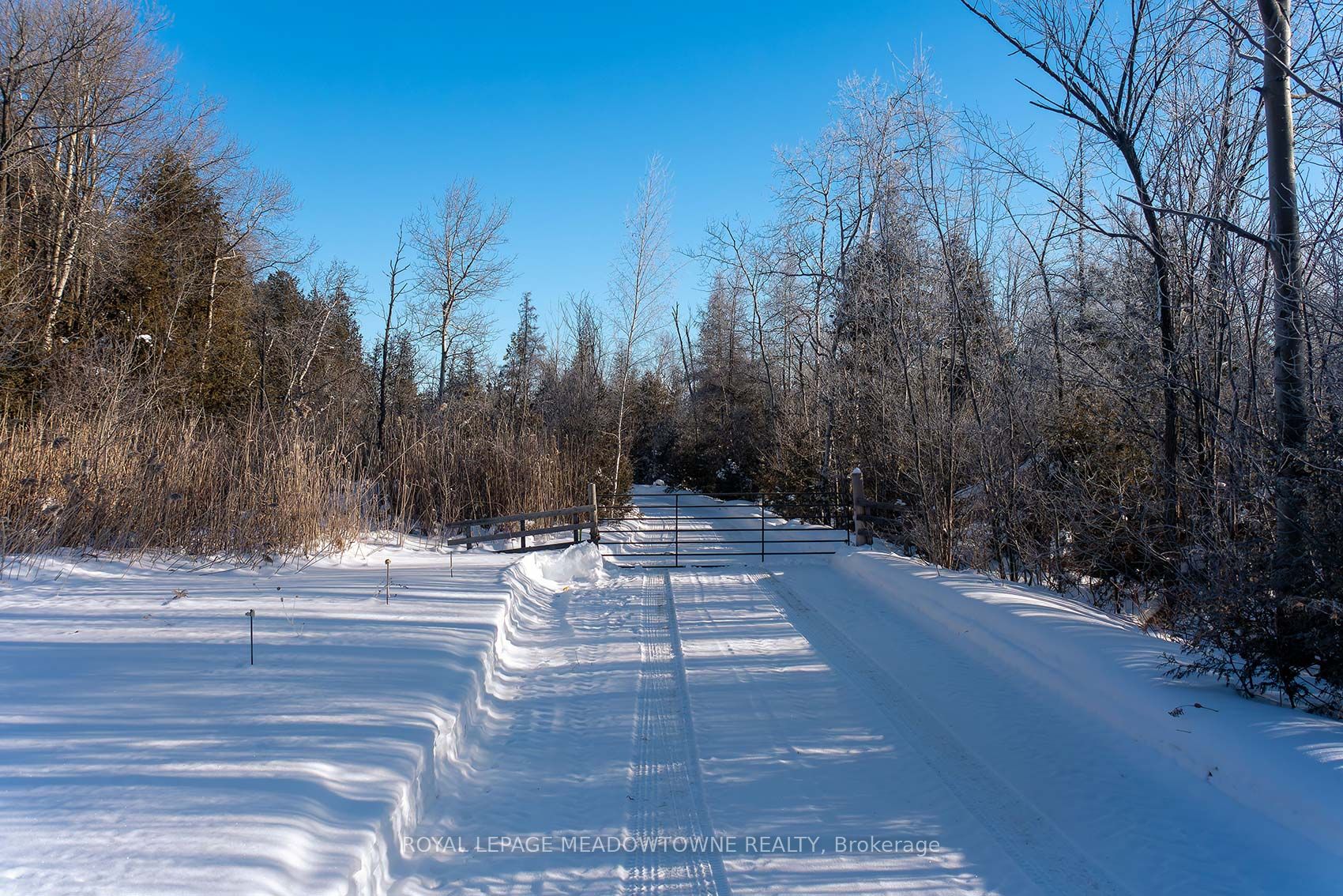 14165 Trafalgar Road