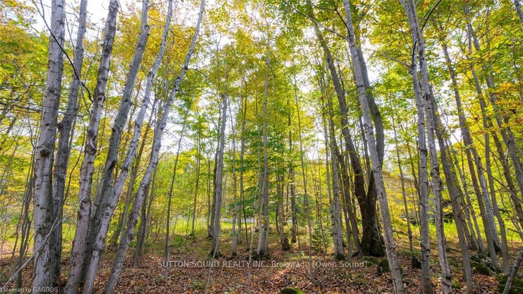 PT LT 25 CONC 16 GREY ROAD 17 N/A