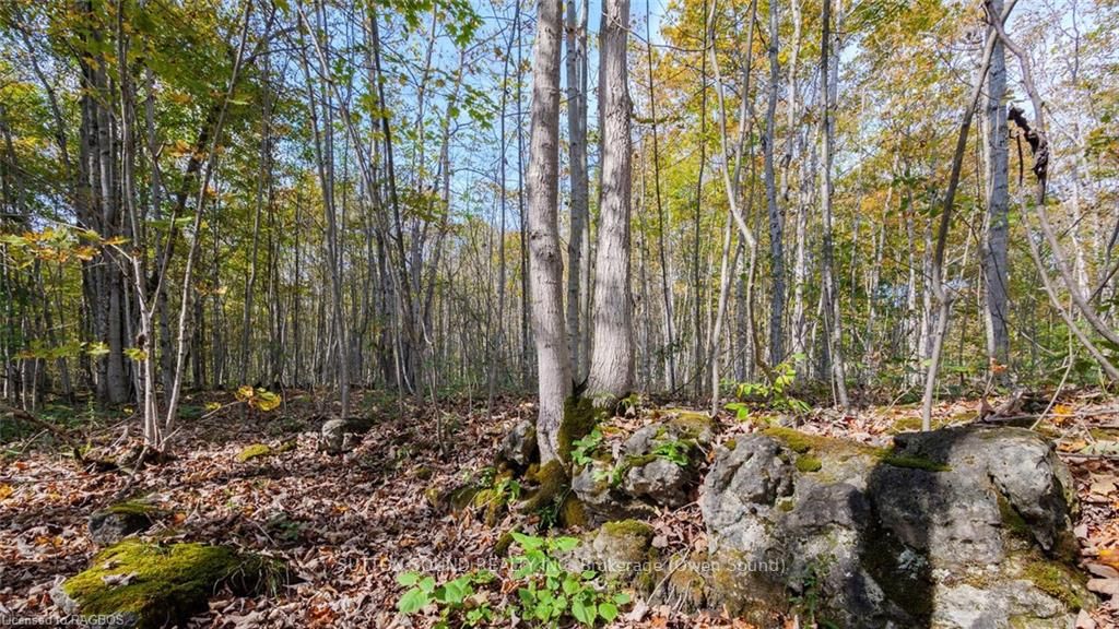 PT LT 25 CONC 16 GREY ROAD 17 N/A