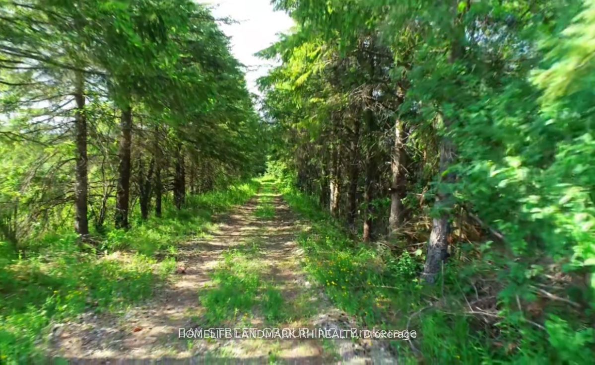 4870 Elgin Mills Road E