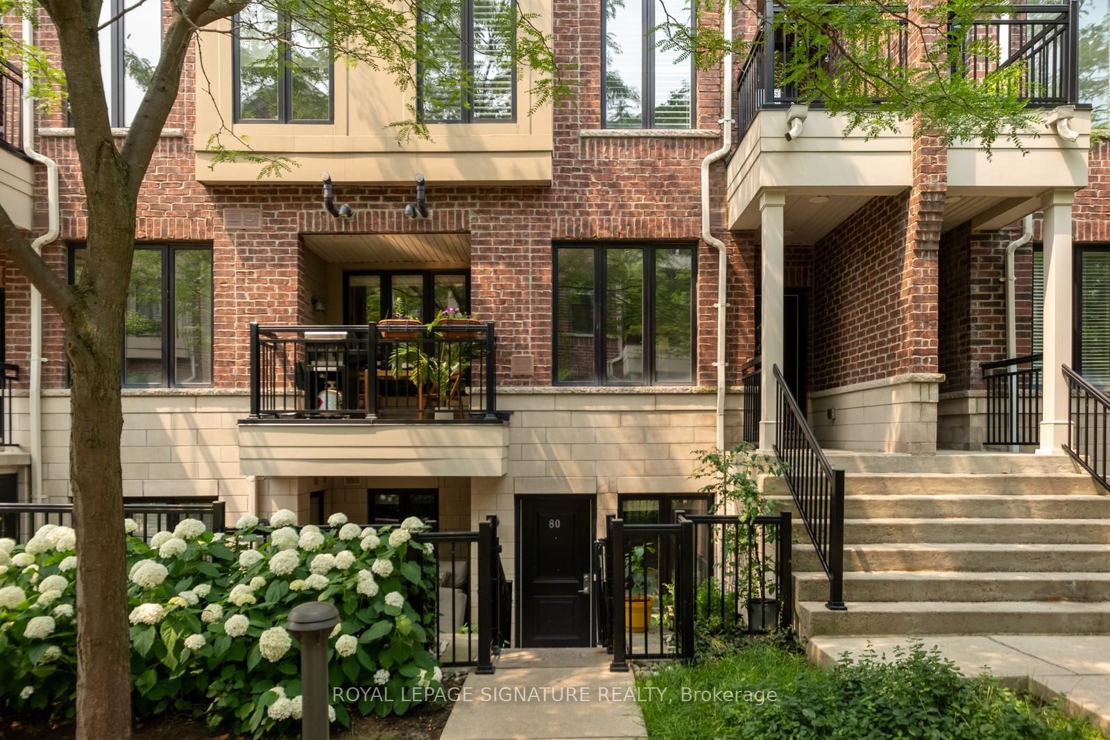 30 Carnation Avenue 81