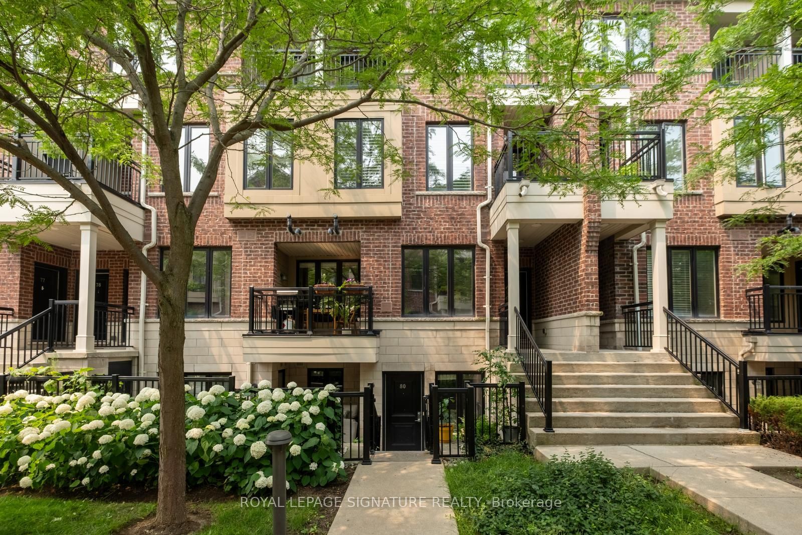 30 Carnation Avenue 81