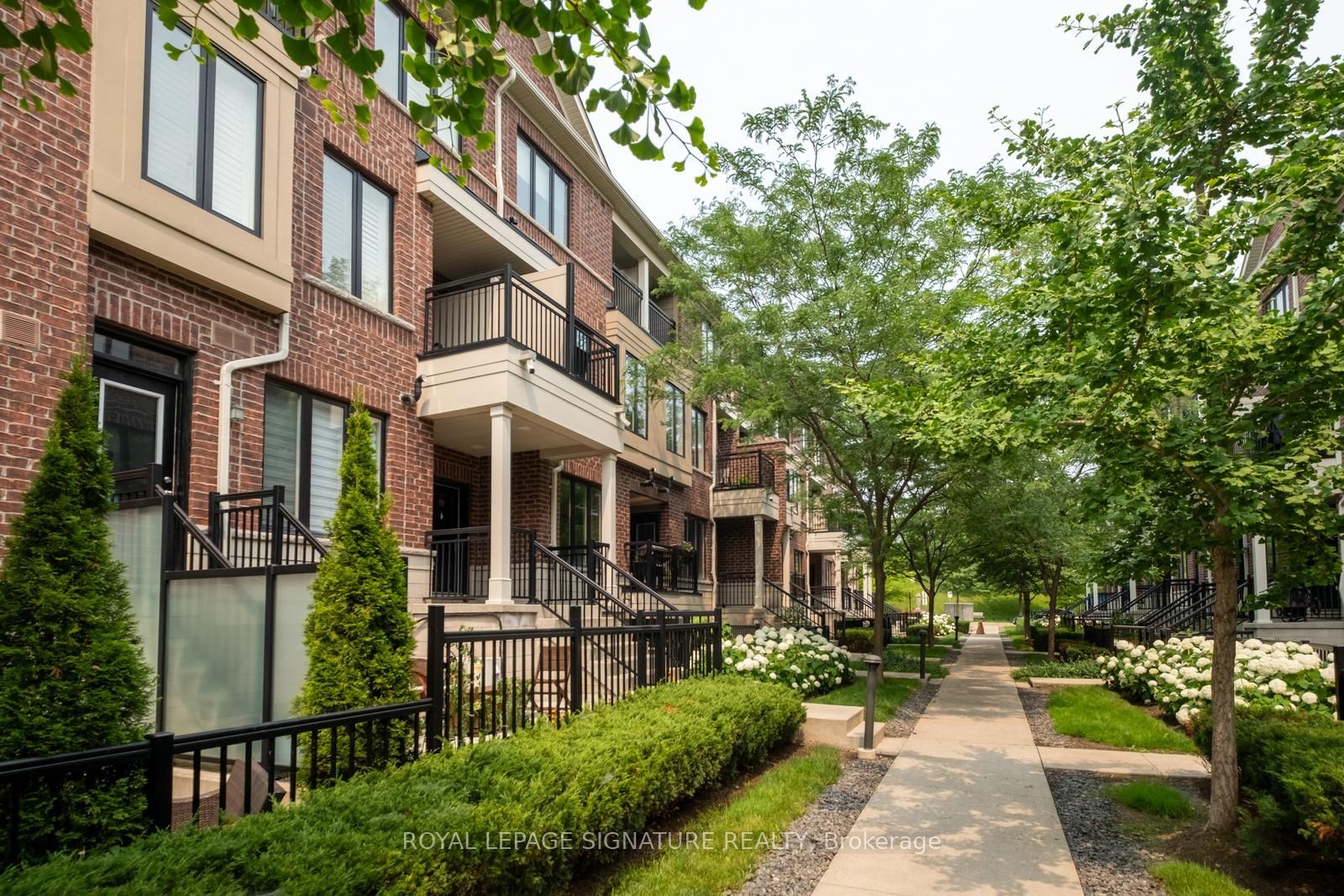 30 Carnation Avenue 81