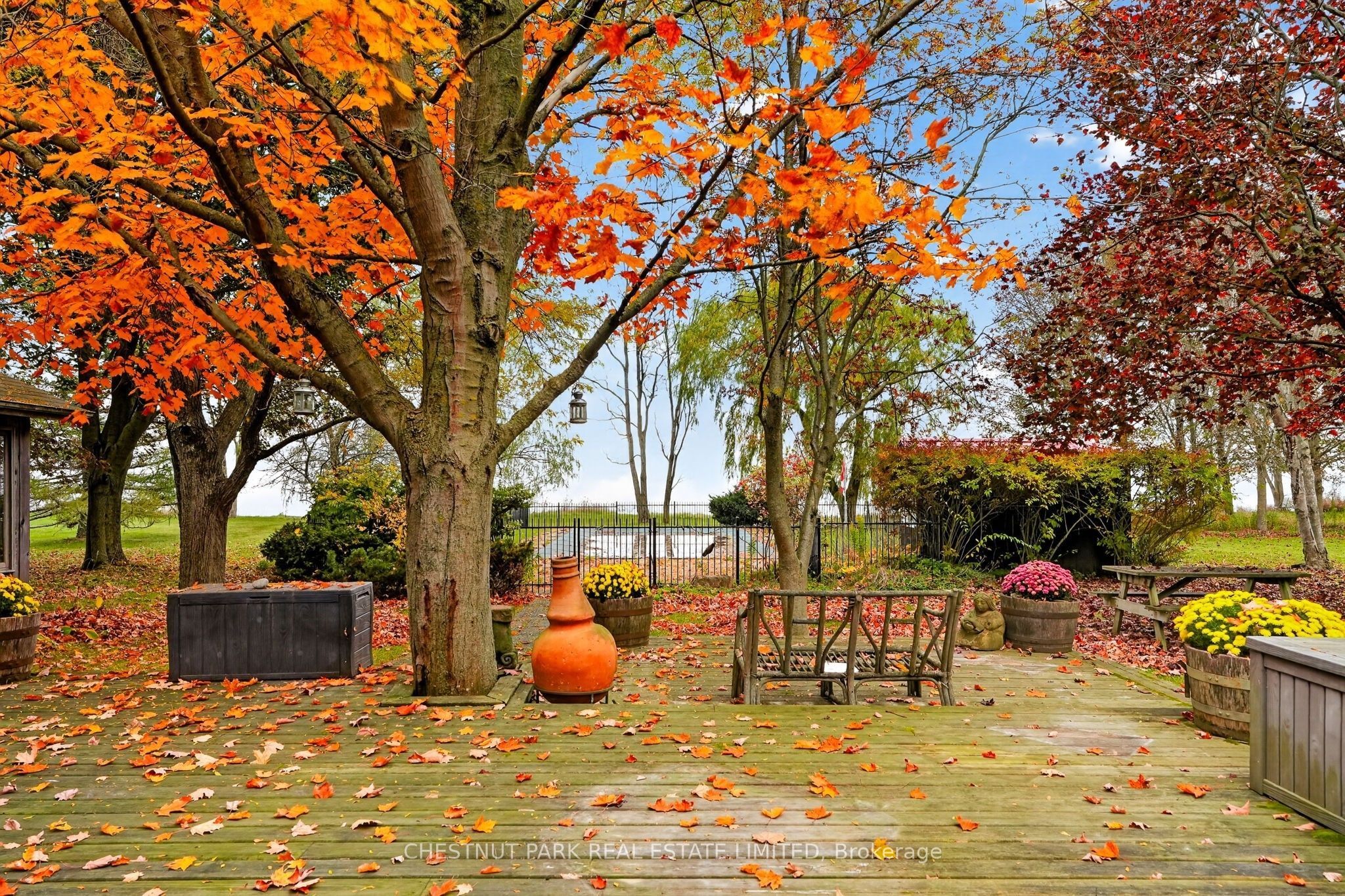 3797 Lakeshore Road
