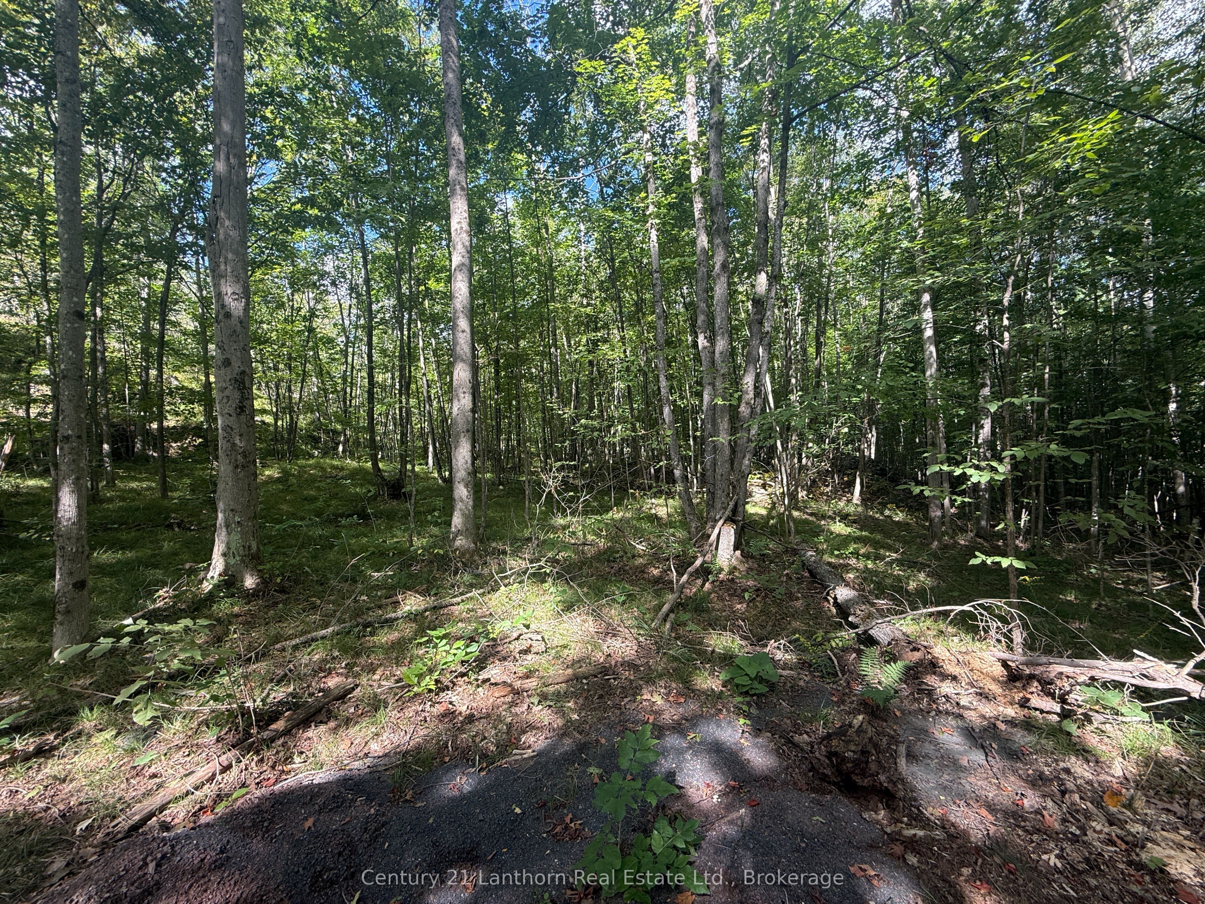 00 Middle Lot Highway 62 N/A