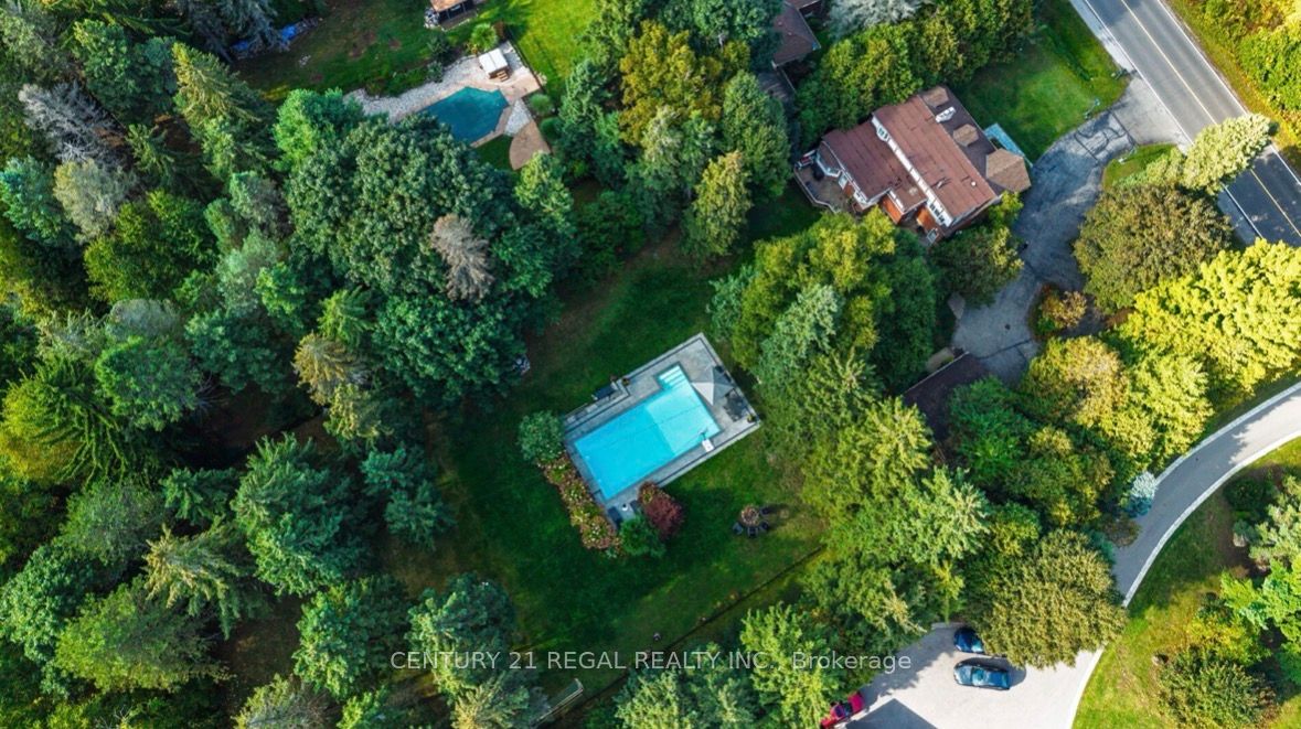 4434 Cedar Springs Road