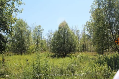 0 Metro Road Georgina ON L4P 3G1