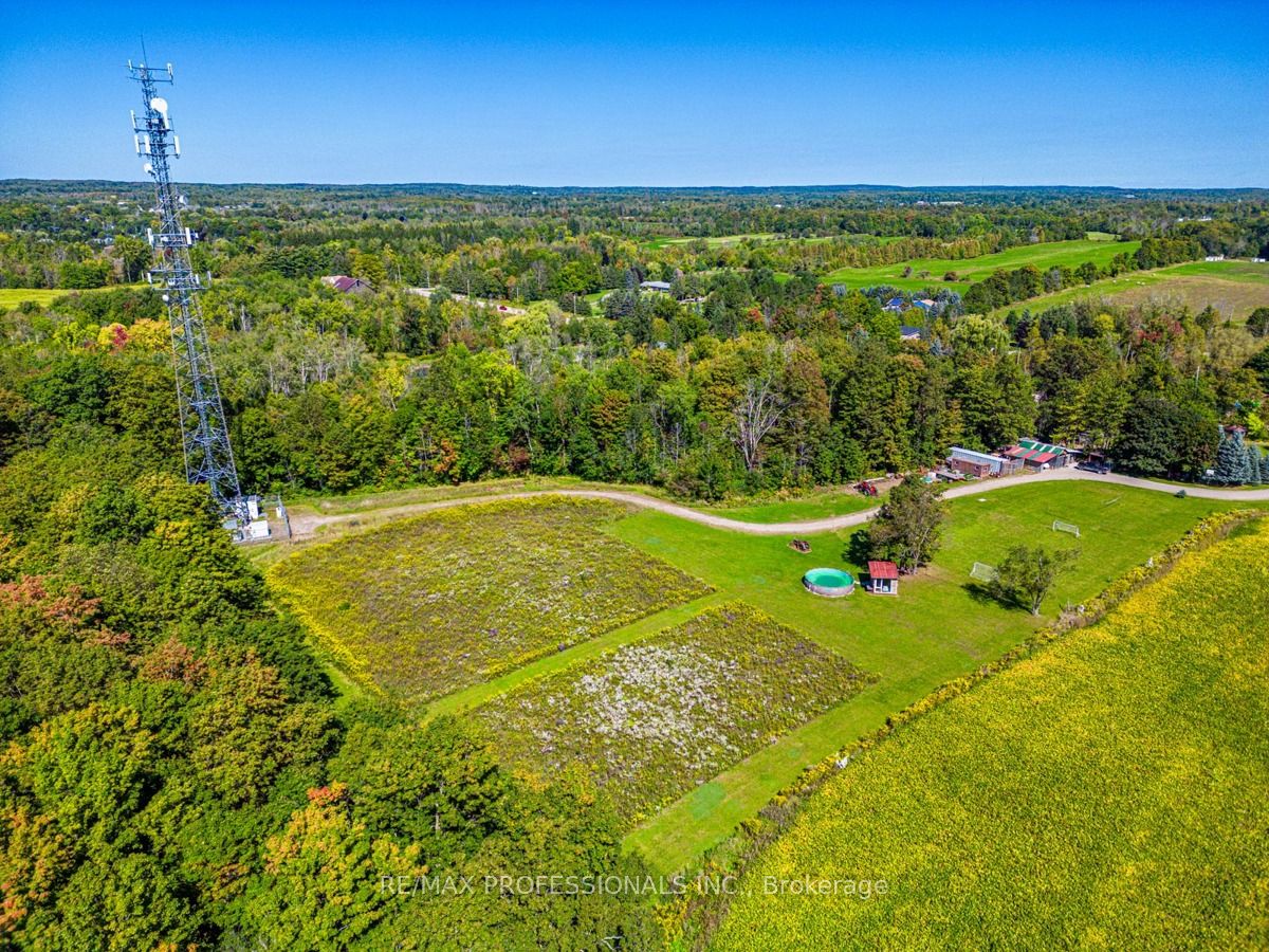 13908 Trafalgar Road