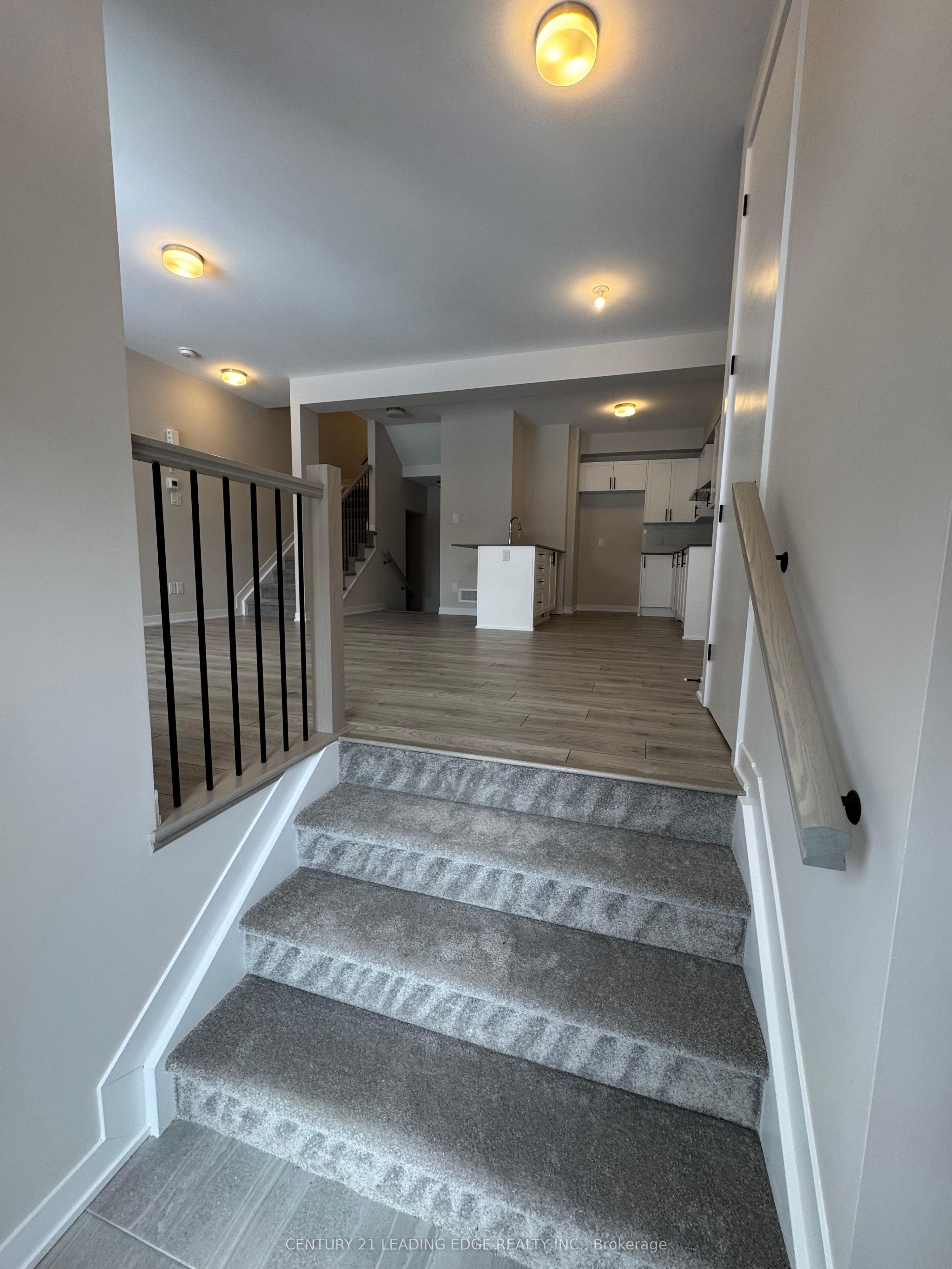 226 Speckled Alder Row