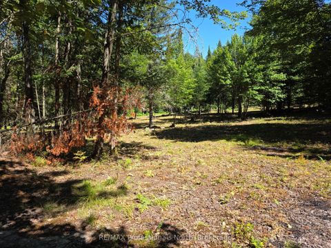 00 Whitney Road Perry ON P0A 1R0