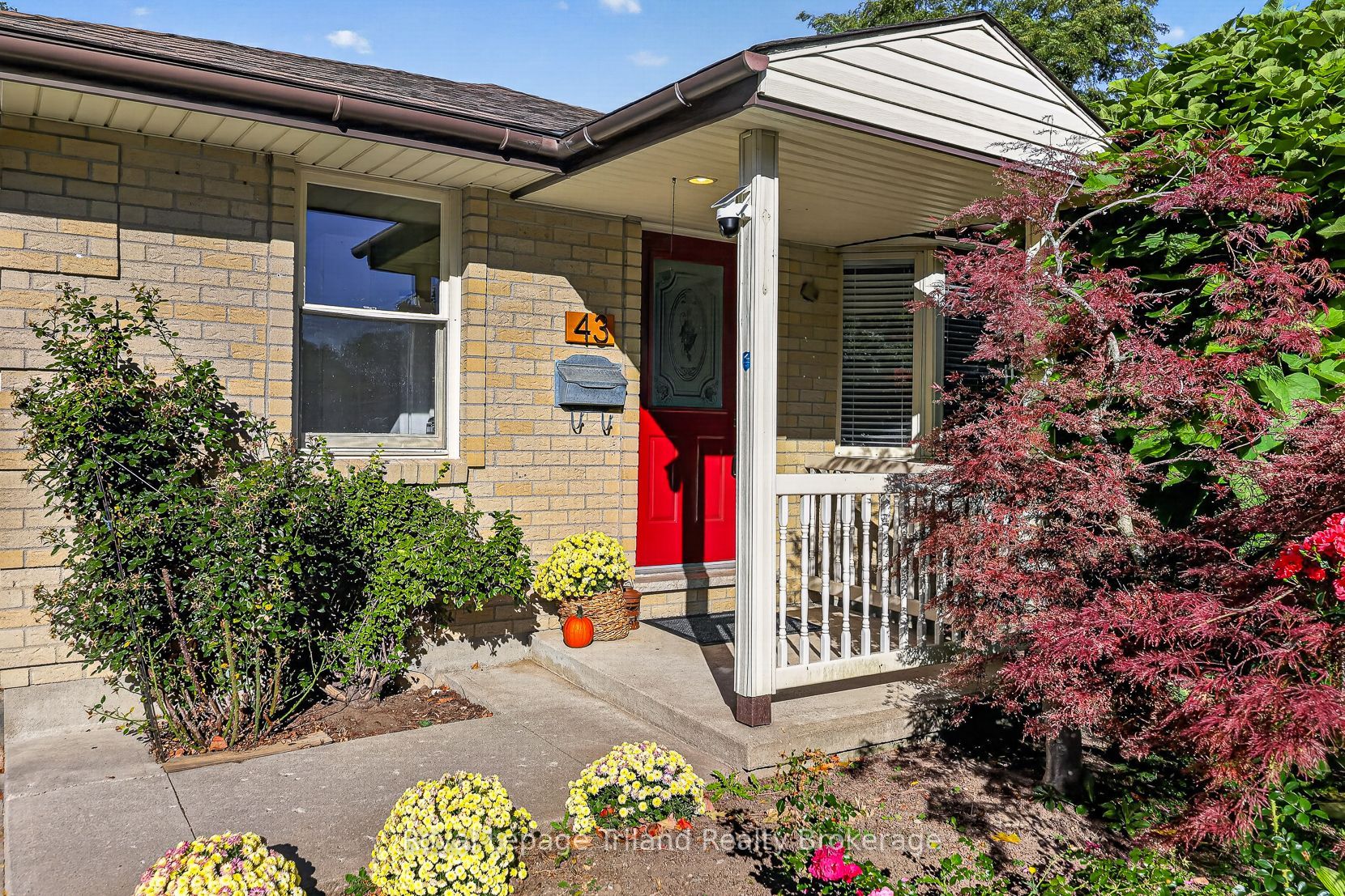 43 Dundee Court