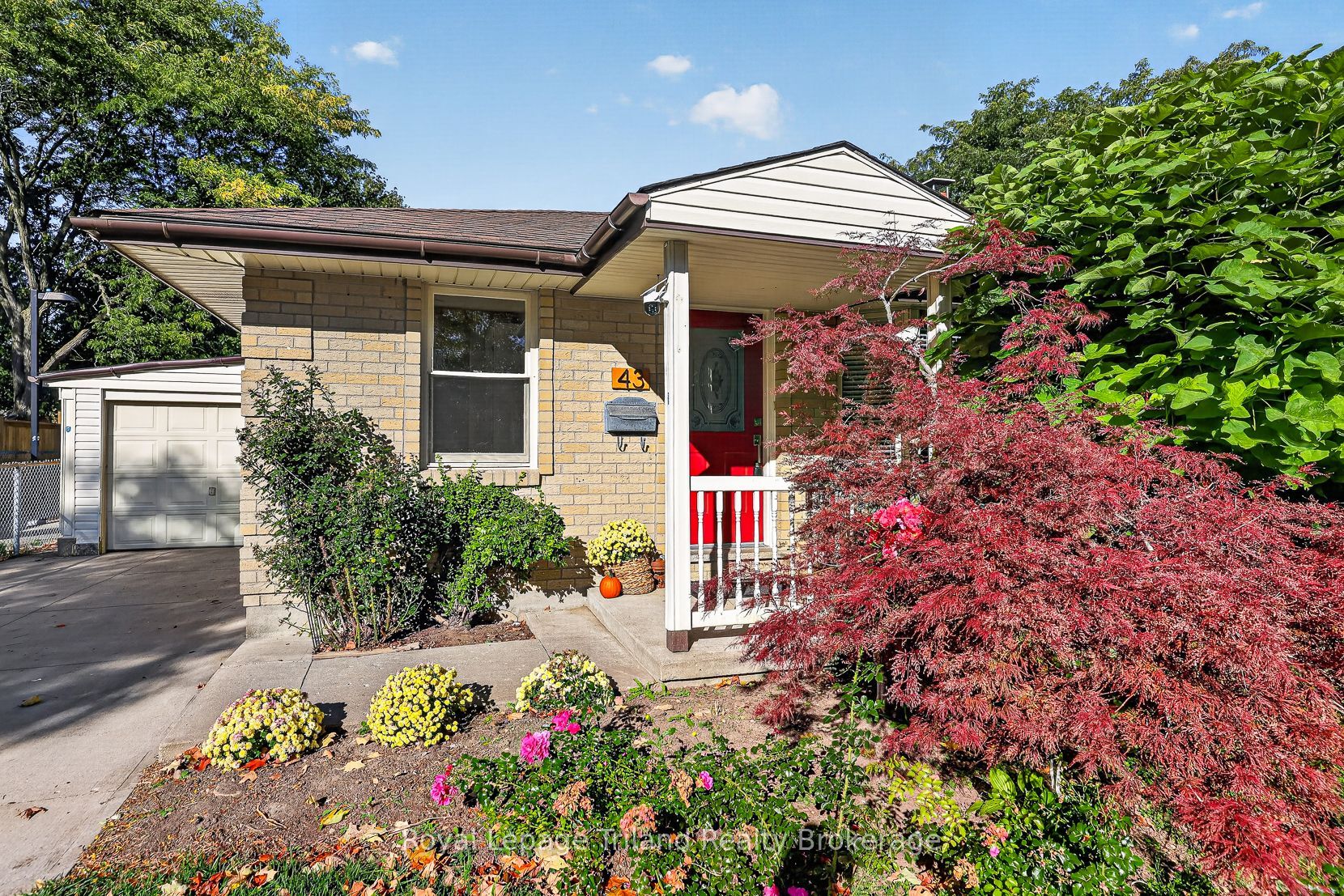 43 Dundee Court