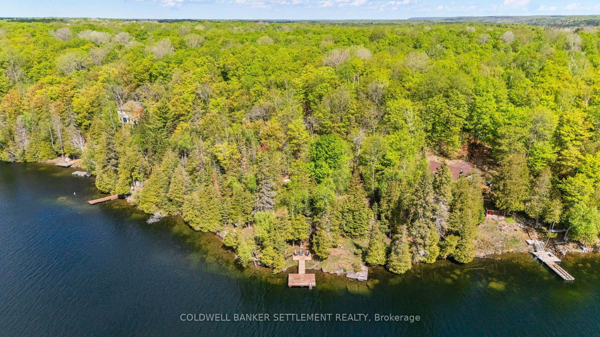 1247b Green Forest Way