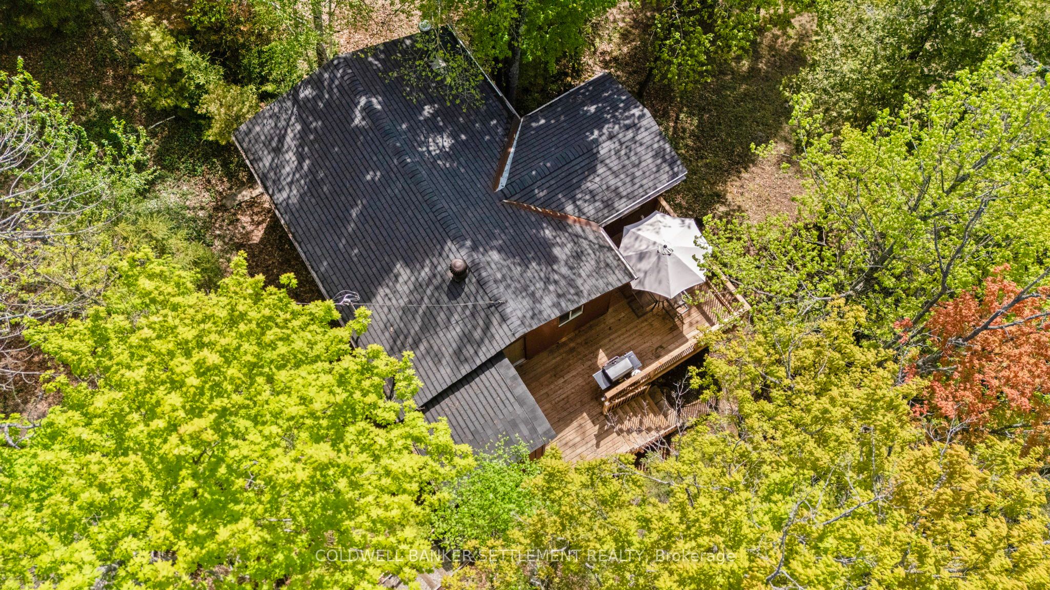 1247b Green Forest Way