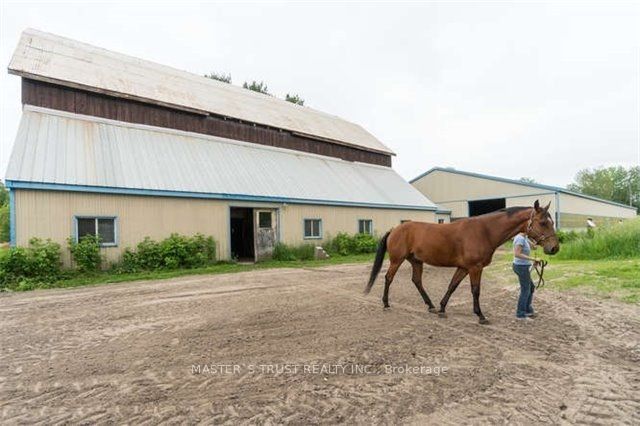 3563 Vandorf Side Road