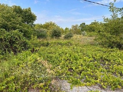 3454 Highway 115/35 Acres