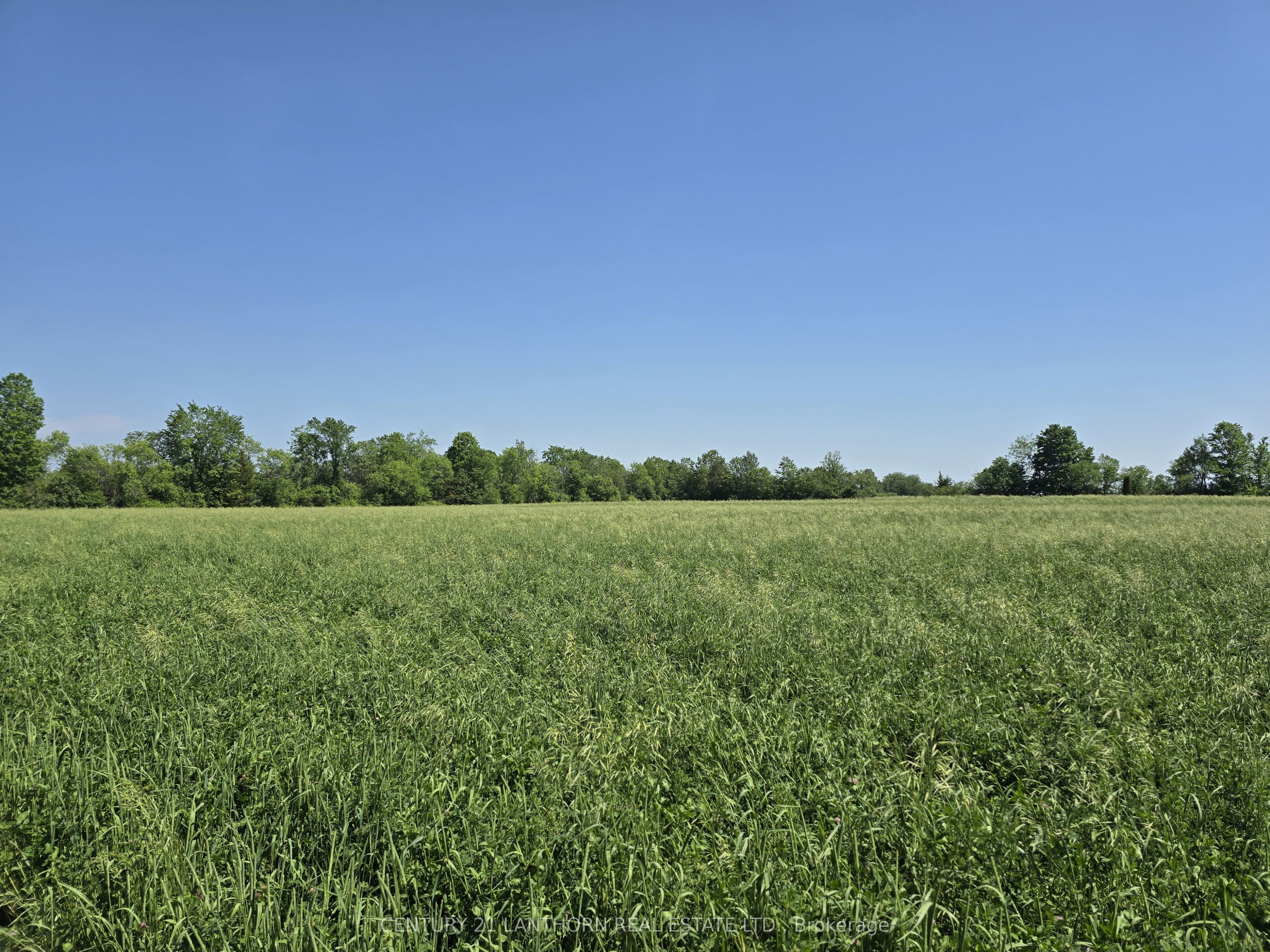 0 Shannonville Road