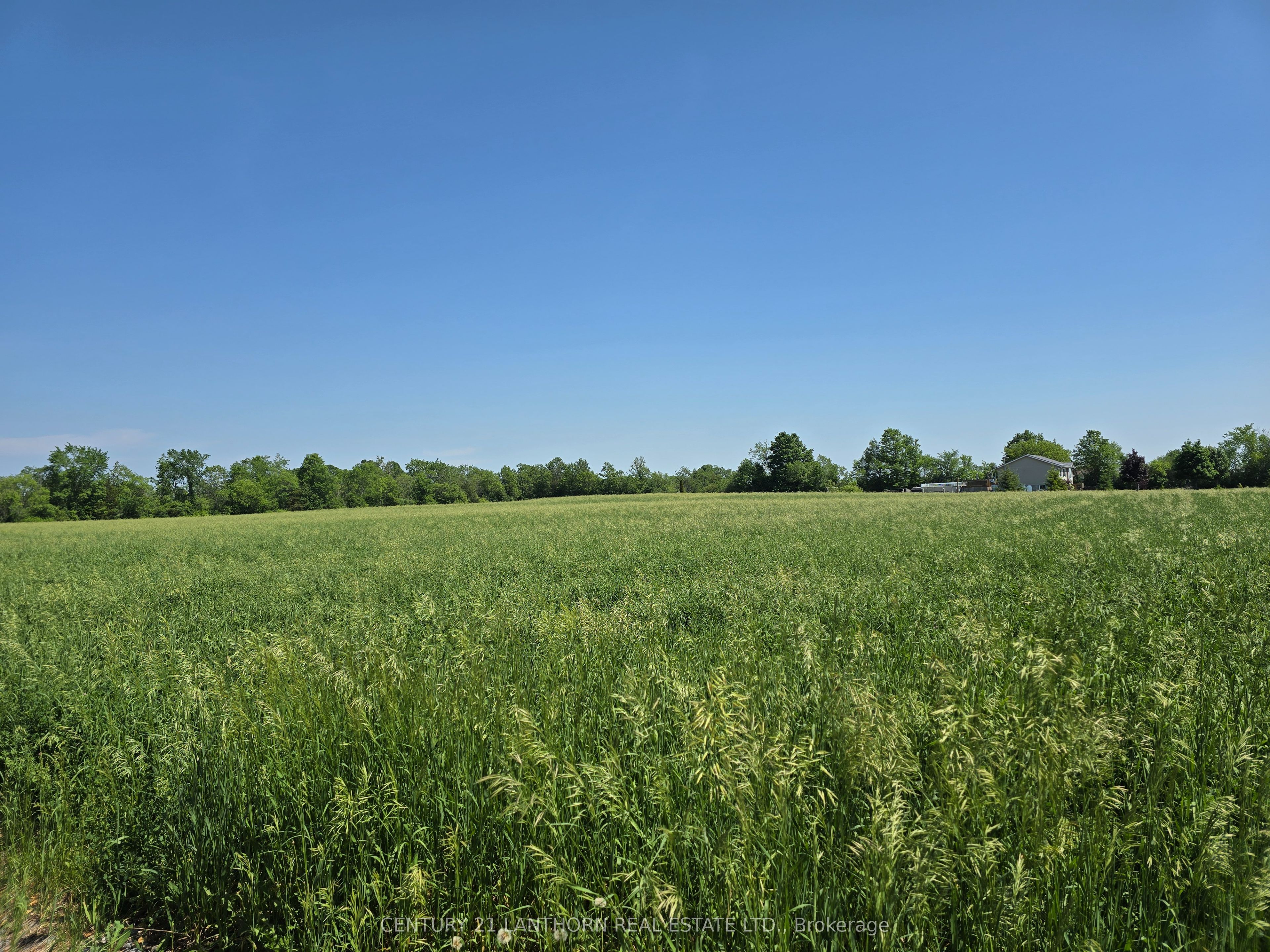 0 Shannonville Road