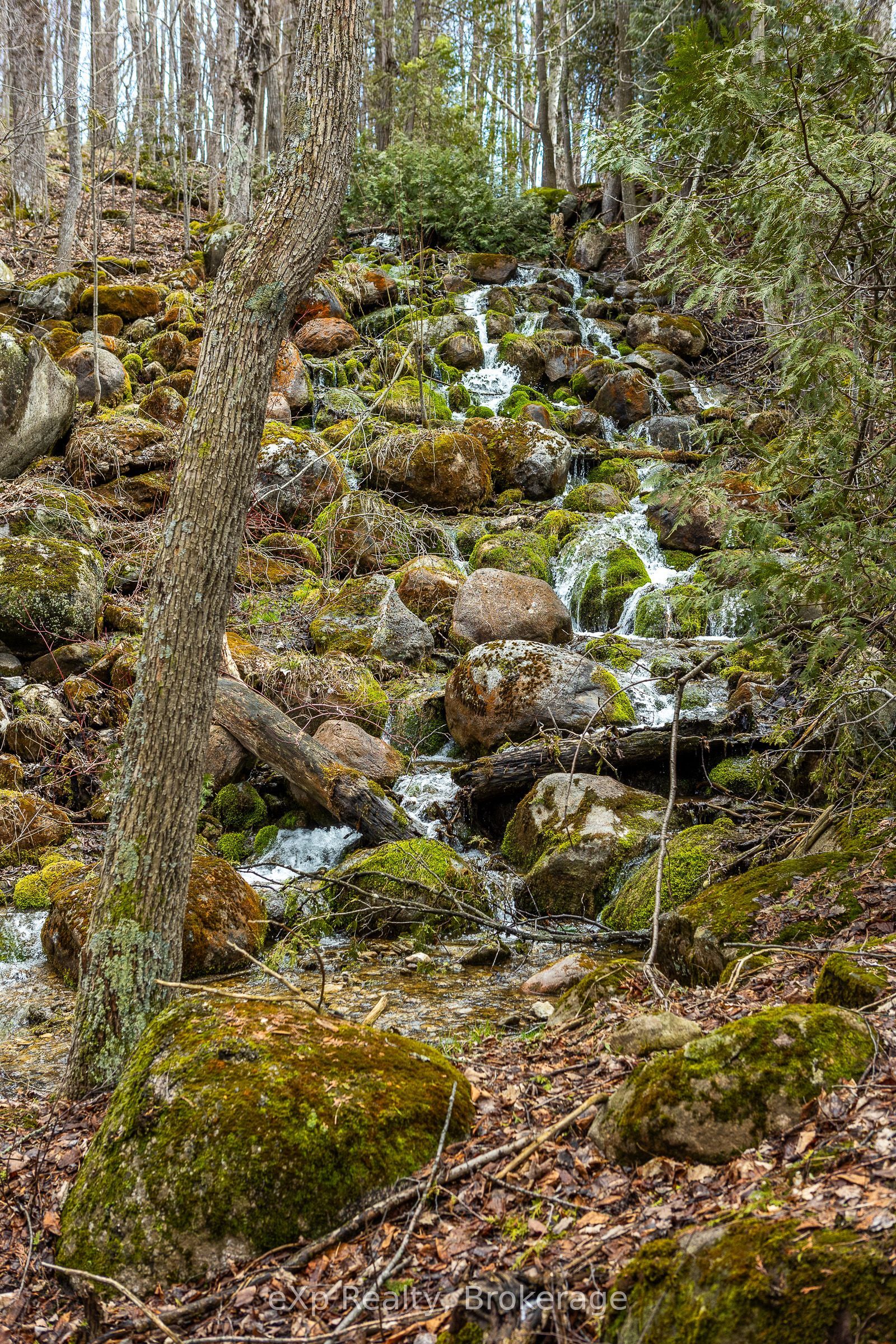 PTLT 29 CON 1S, St. Vincent-Sydenham Townline N/A