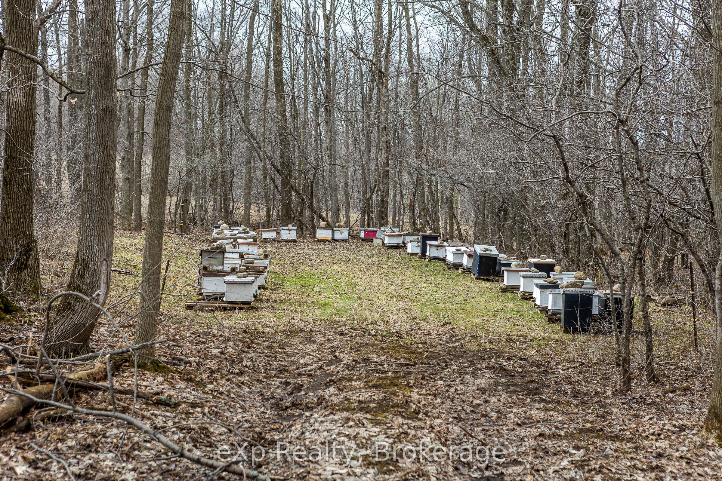 PTLT 29 CON 1S, St. Vincent-Sydenham Townline N/A