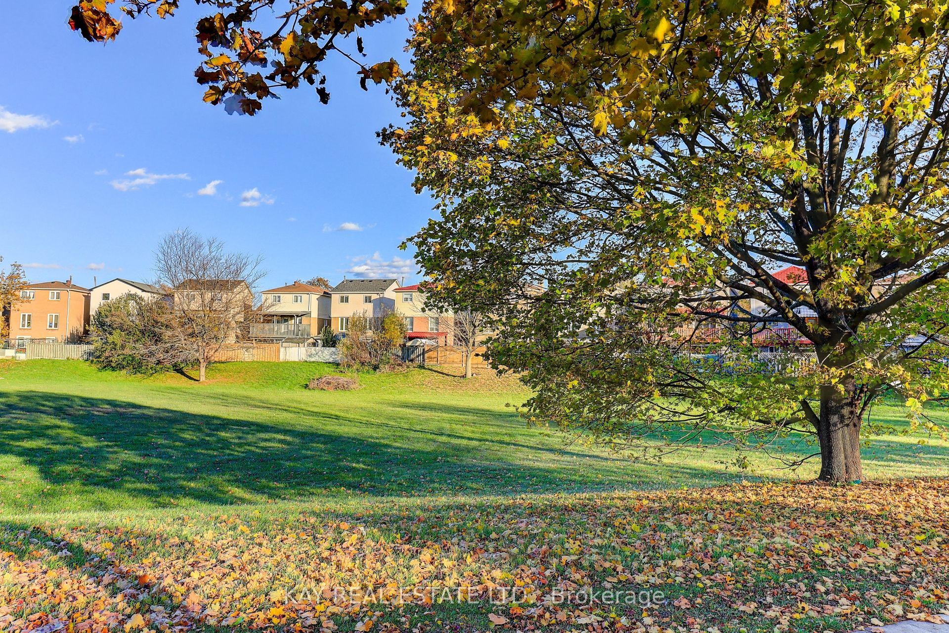 125 Littleleaf Drive