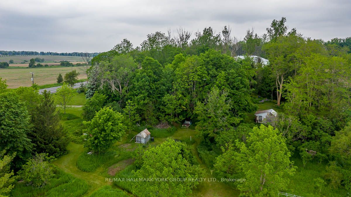 15763 Dufferin Street