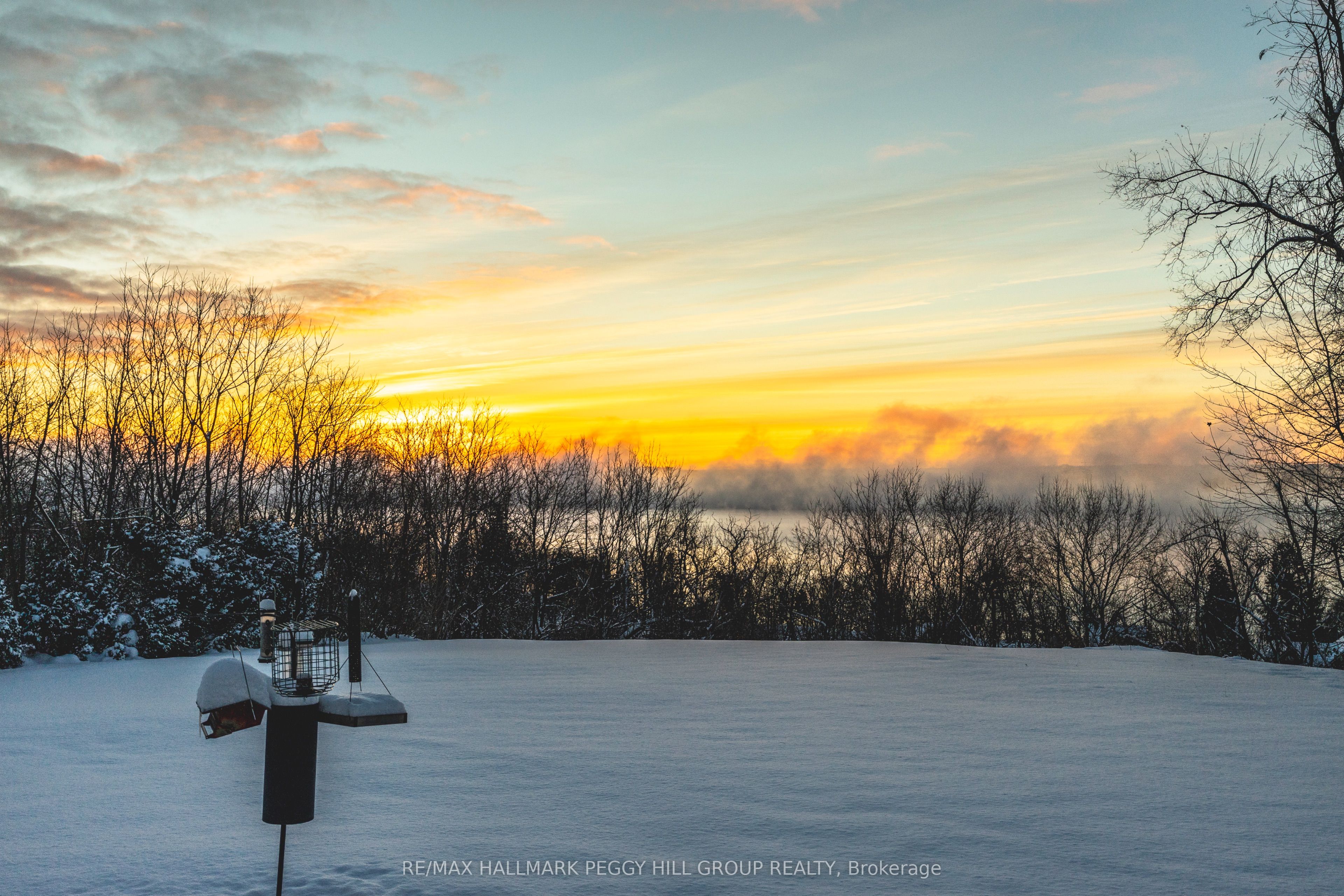 150 Collingwood Street