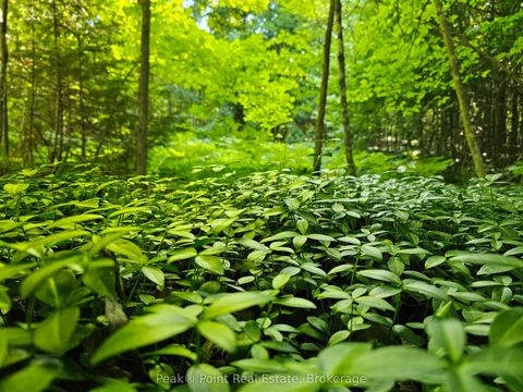 725 Purple Valley Road South Bruce Peninsula ON N0H 2T0