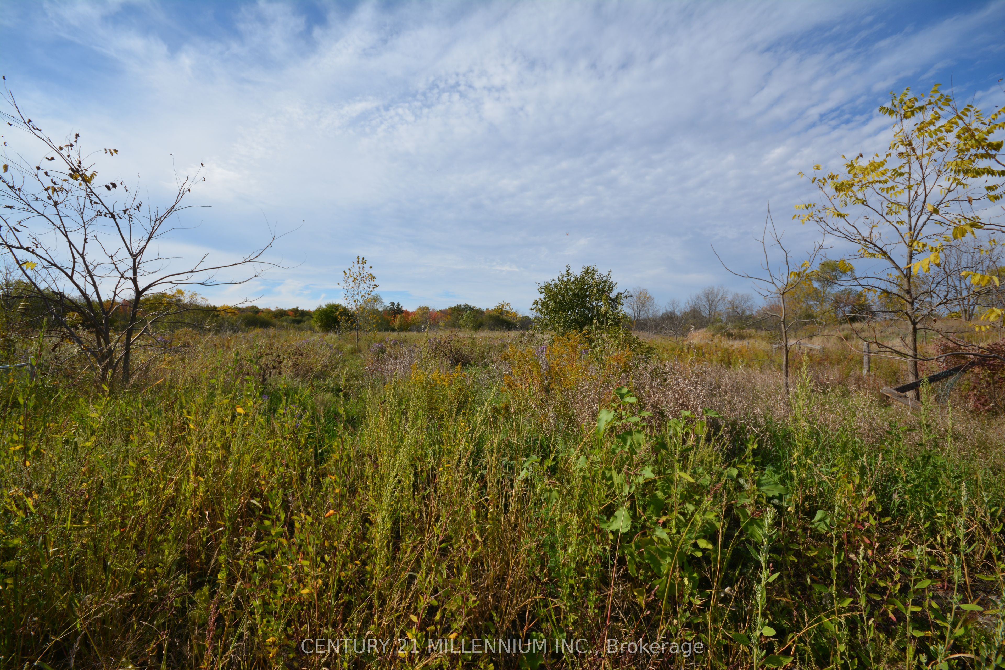 4022 Fourth Line N/A